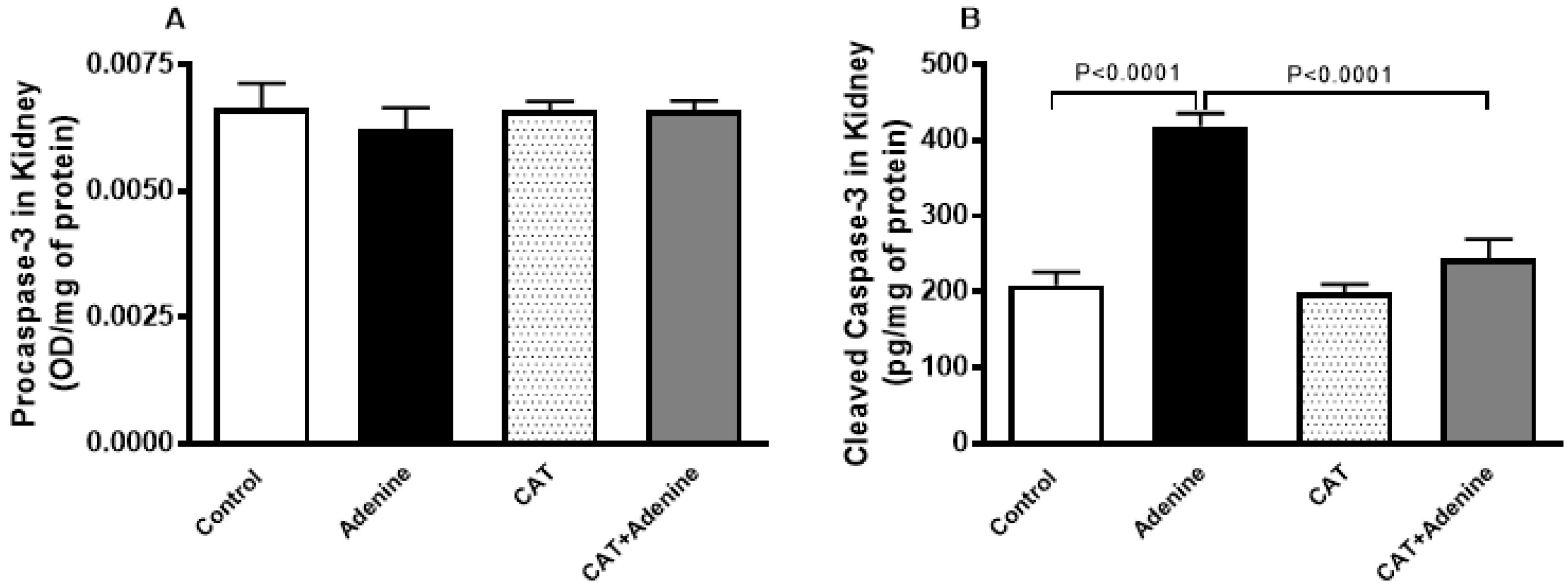 Nutrients 15 00237 g005 Nutrients 15 00237 g005