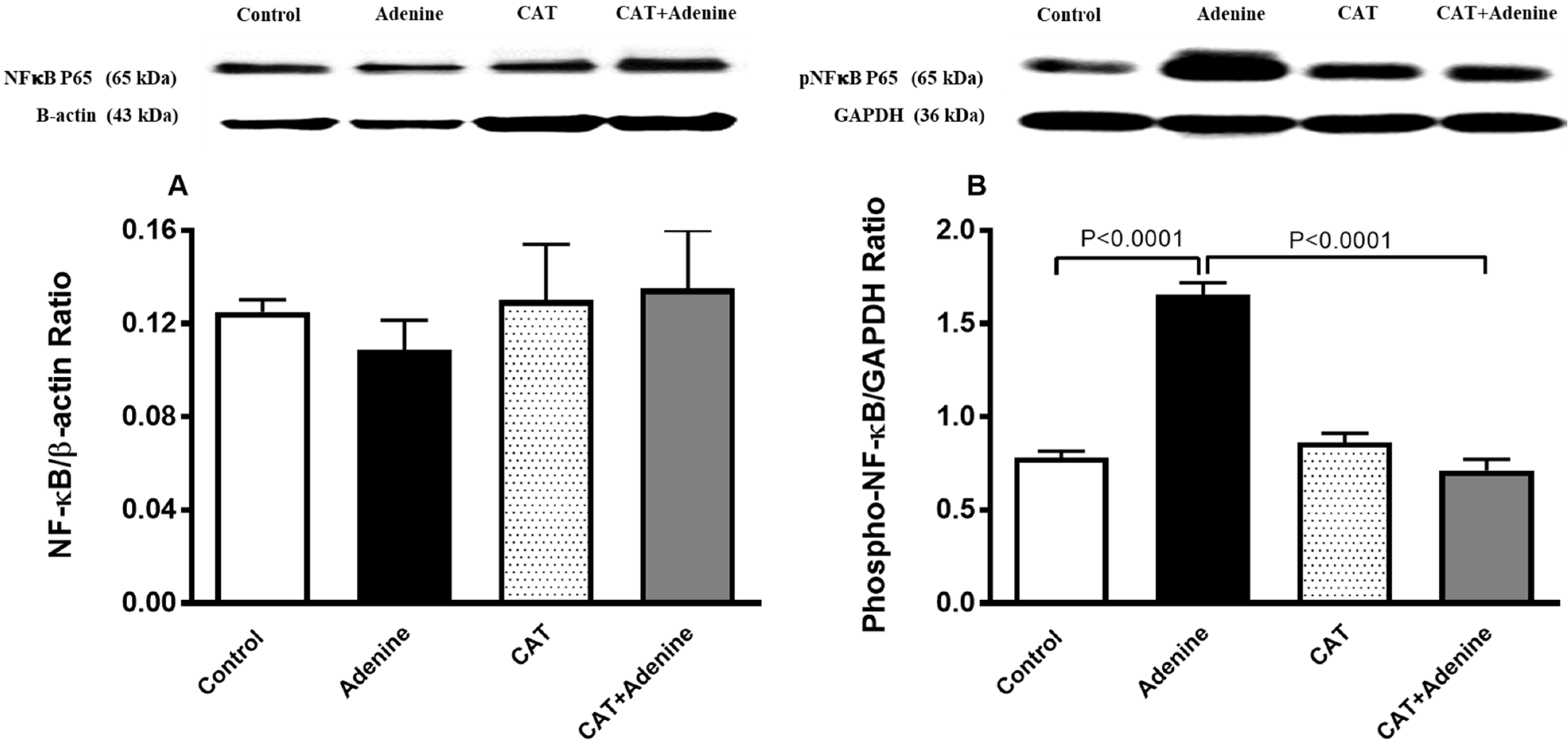 Nutrients 15 00237 g006 Nutrients 15 00237 g006