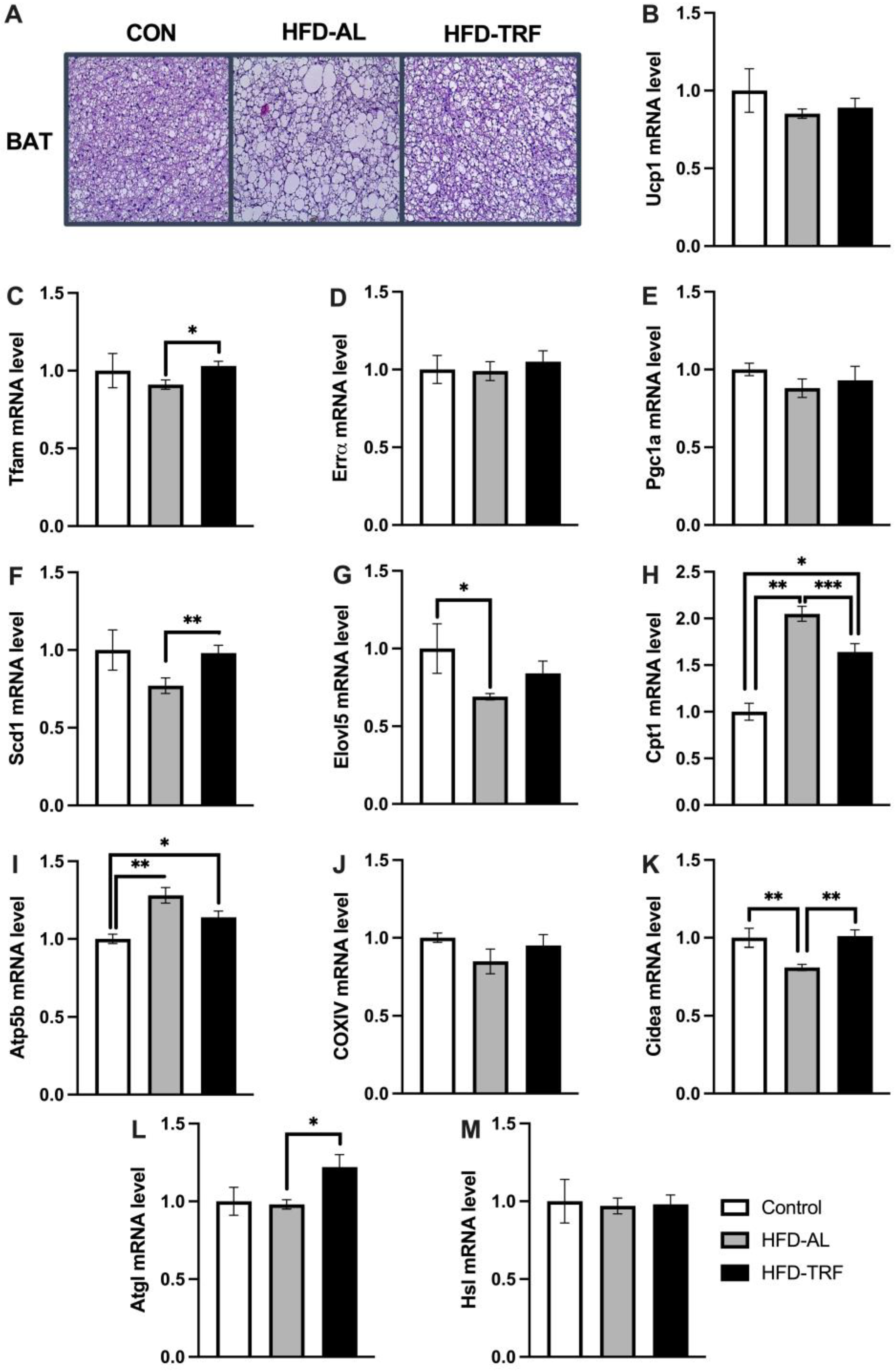 Nutrients 15 00238 g003 Nutrients 15 00238 g003