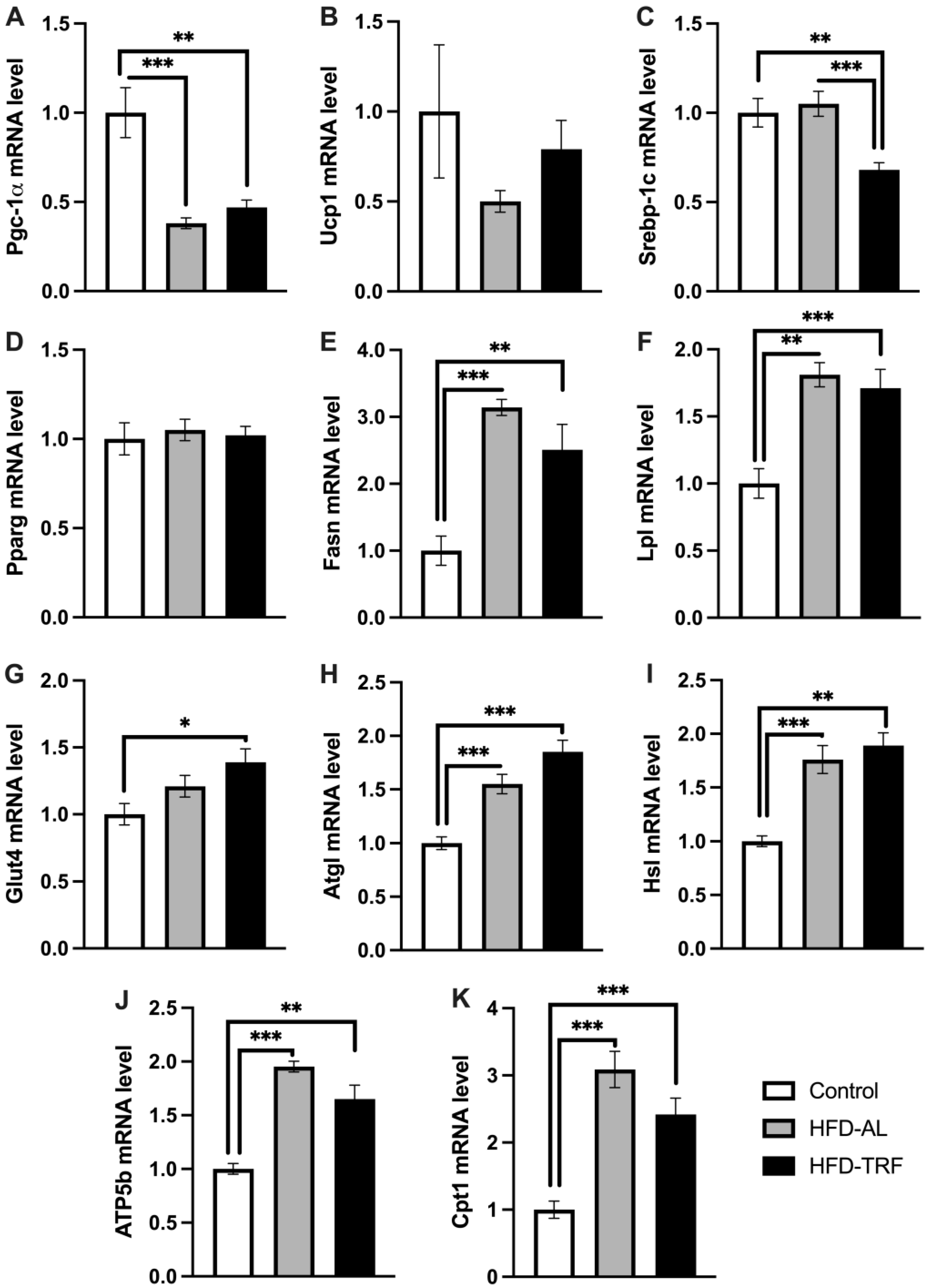 Nutrients 15 00238 g005 Nutrients 15 00238 g005