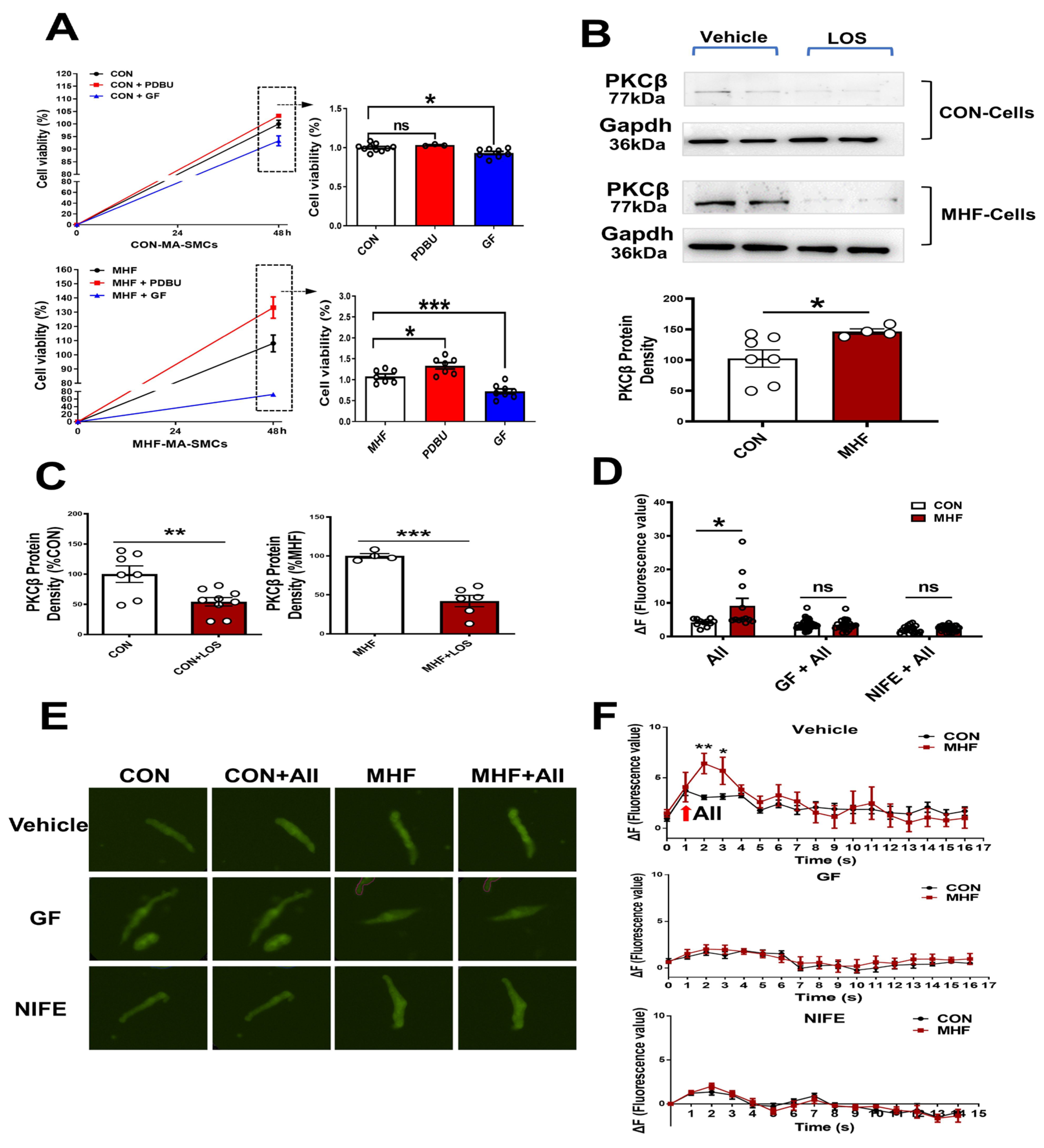 Nutrients 15 00245 g004