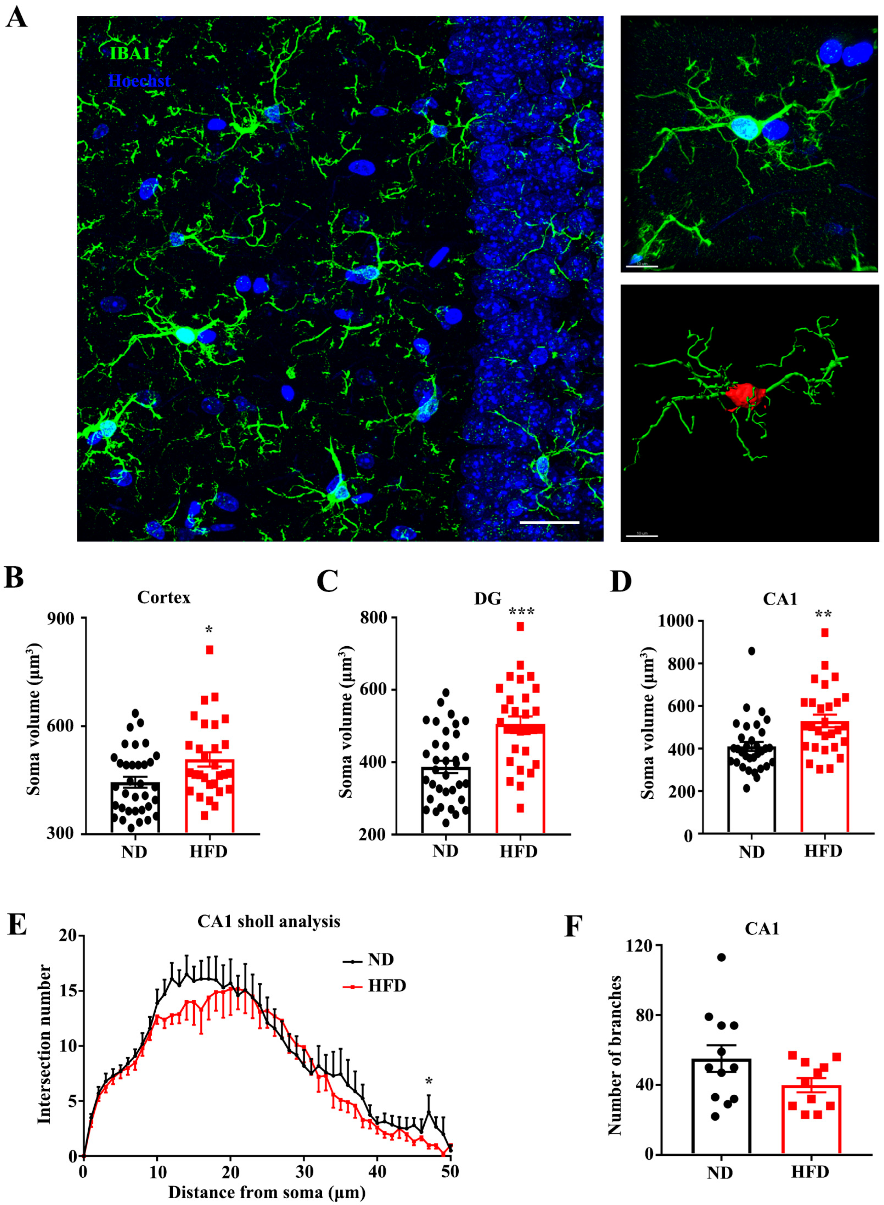 Nutrients 15 00250 g005 Nutrients 15 00250 g005