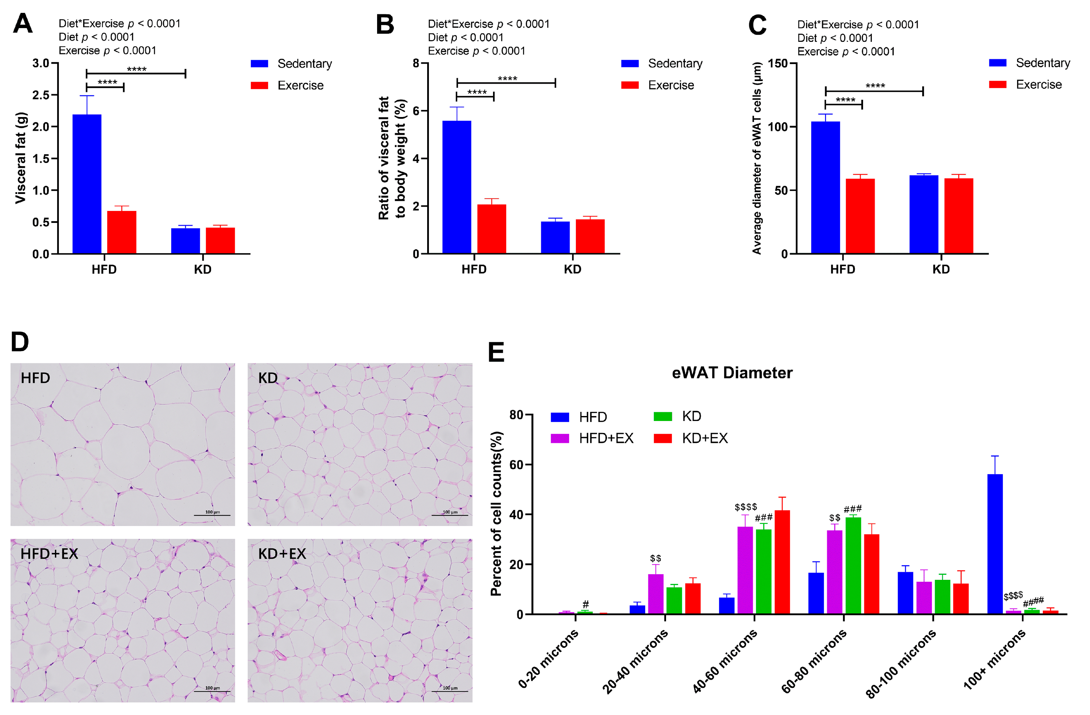 Nutrients 15 00251 g003 Nutrients 15 00251 g003