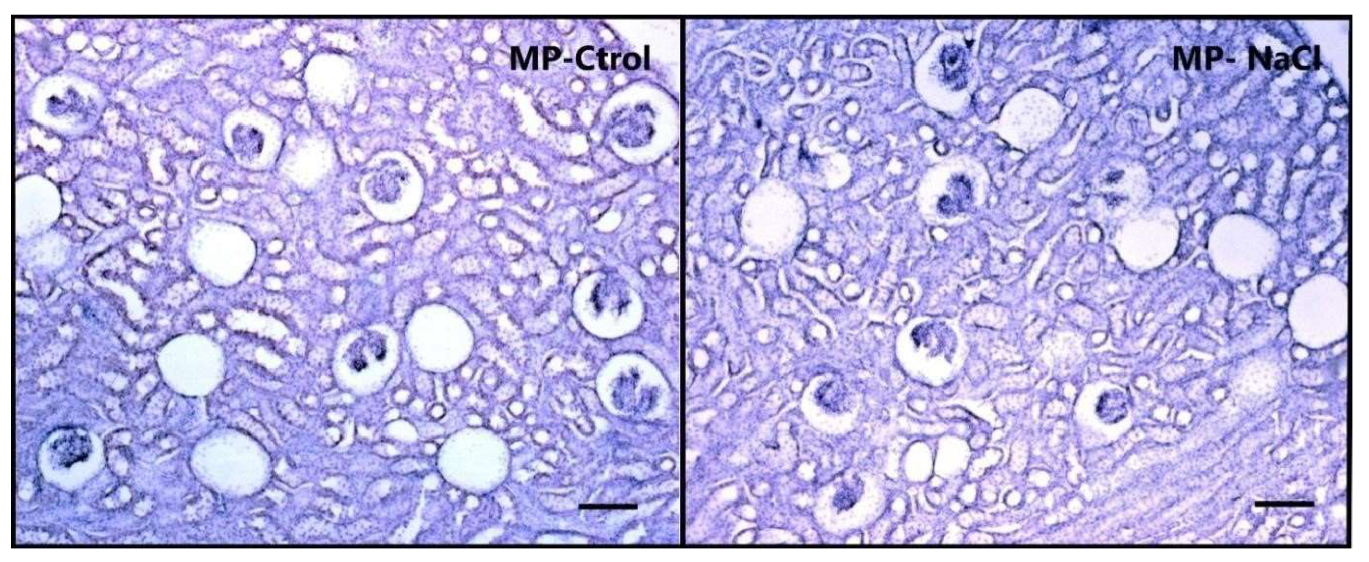 Nutrients 15 00254 g003 Nutrients 15 00254 g003