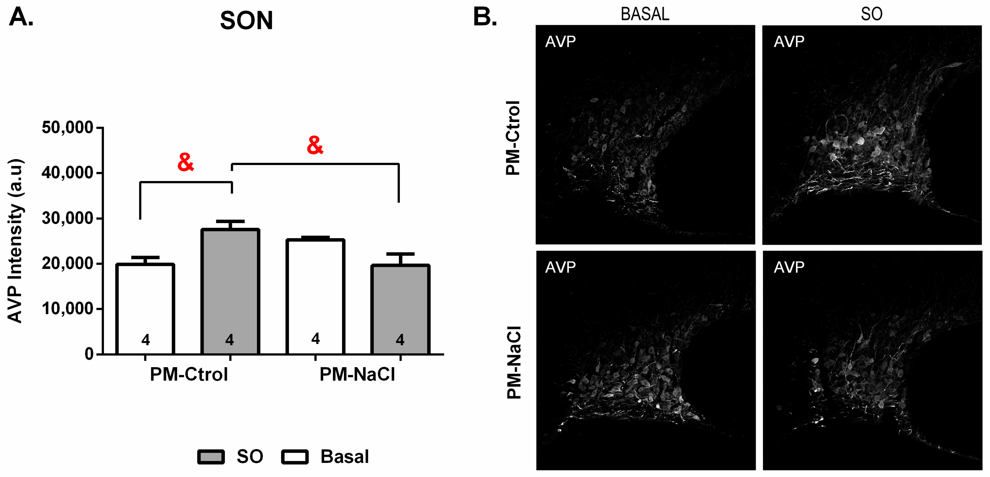 Nutrients 15 00254 g006 Nutrients 15 00254 g006