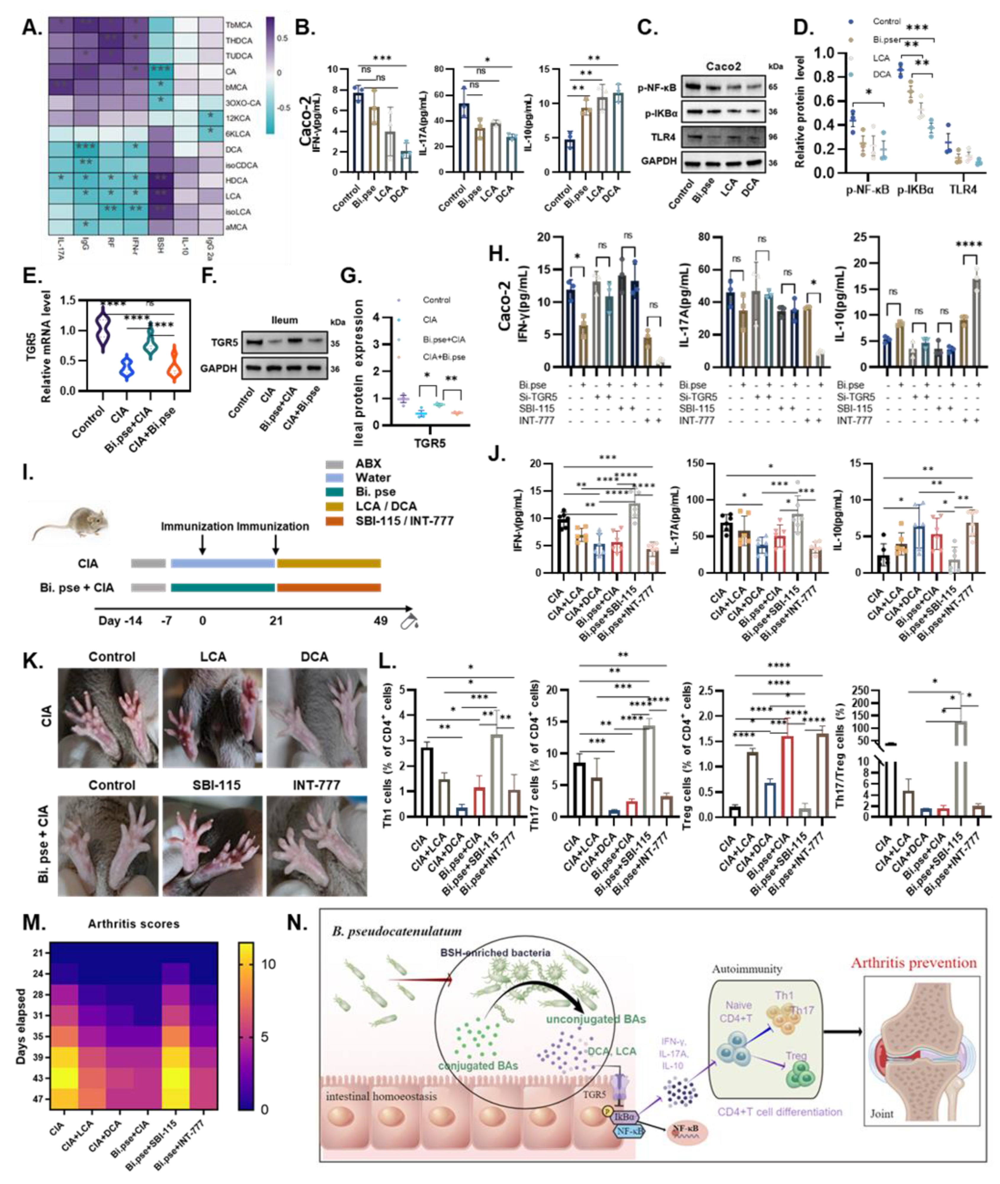 Nutrients 15 00255 g006 Nutrients 15 00255 g006