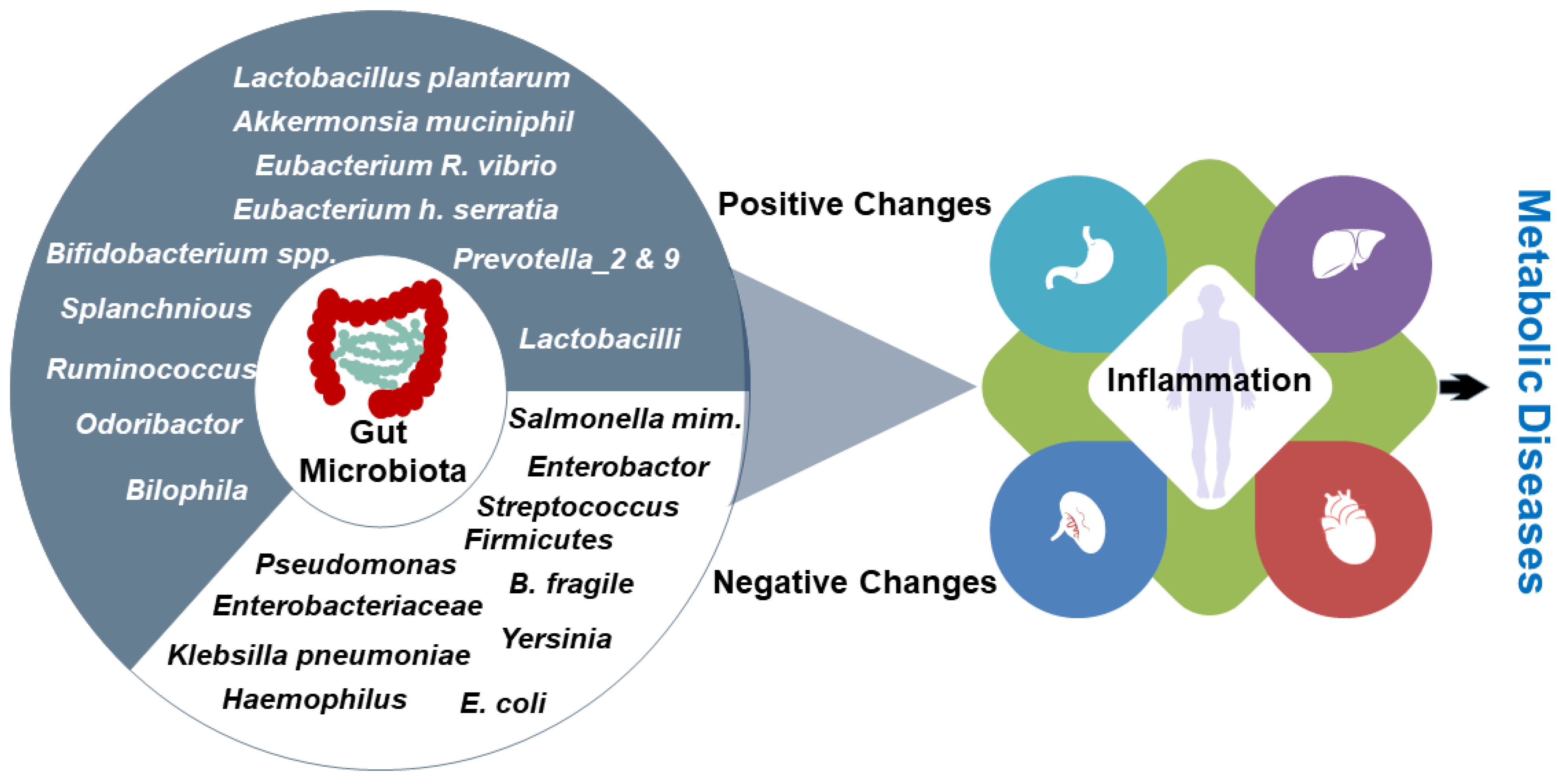 Effect of feeding direct fed microbial supplemented diet (DFMD