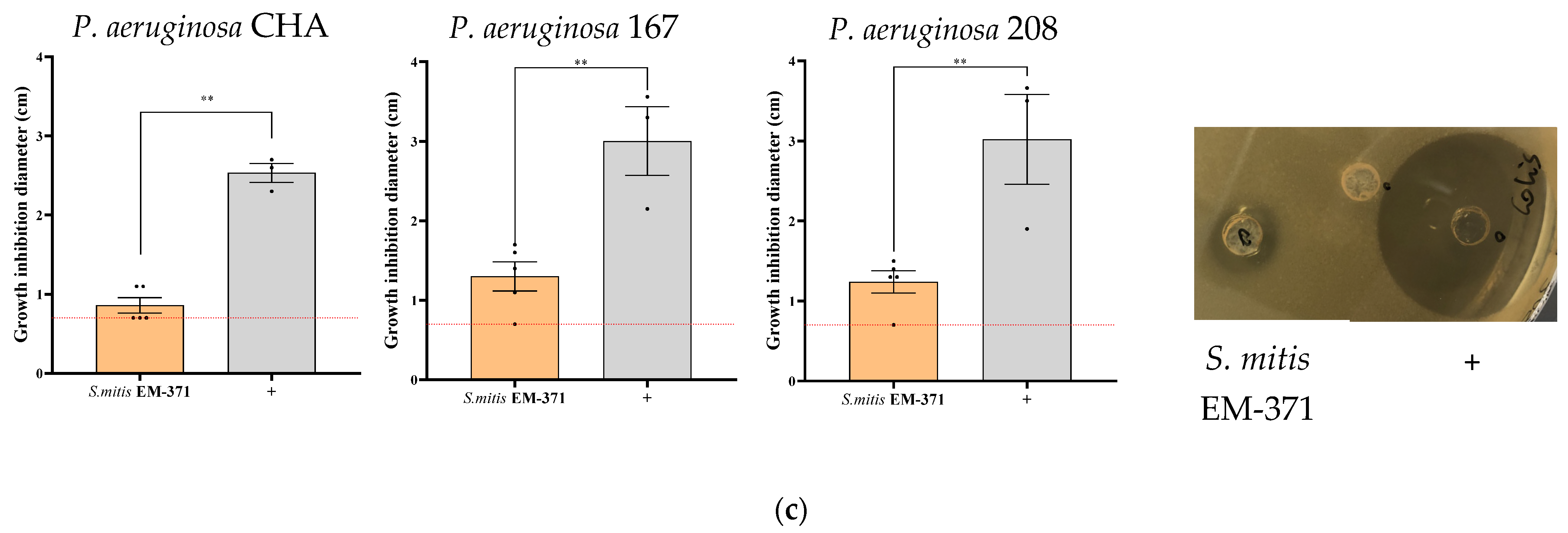 Nutrients 15 00263 g001b Nutrients 15 00263 g001b