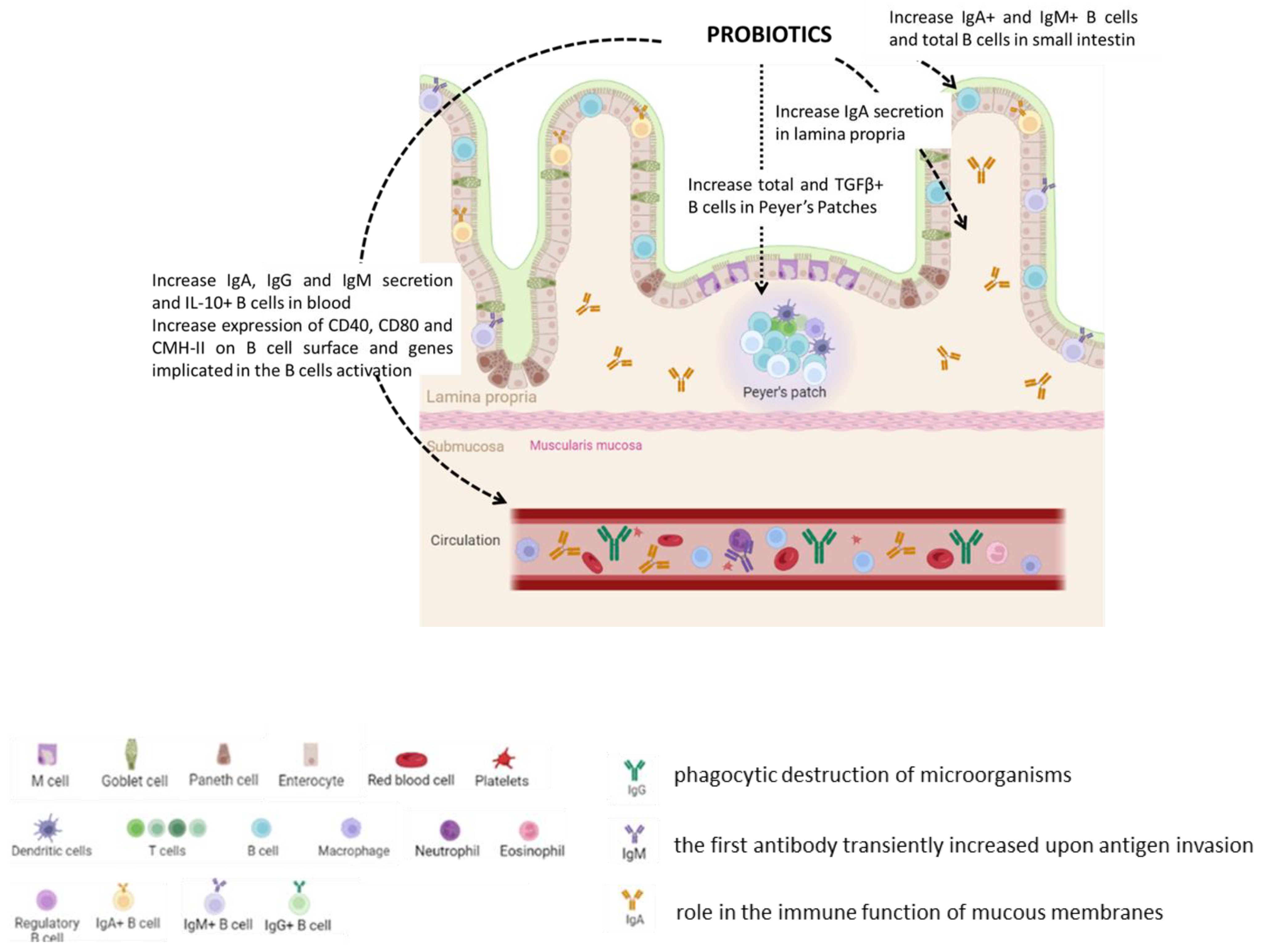 Nutrients 15 00269 g002