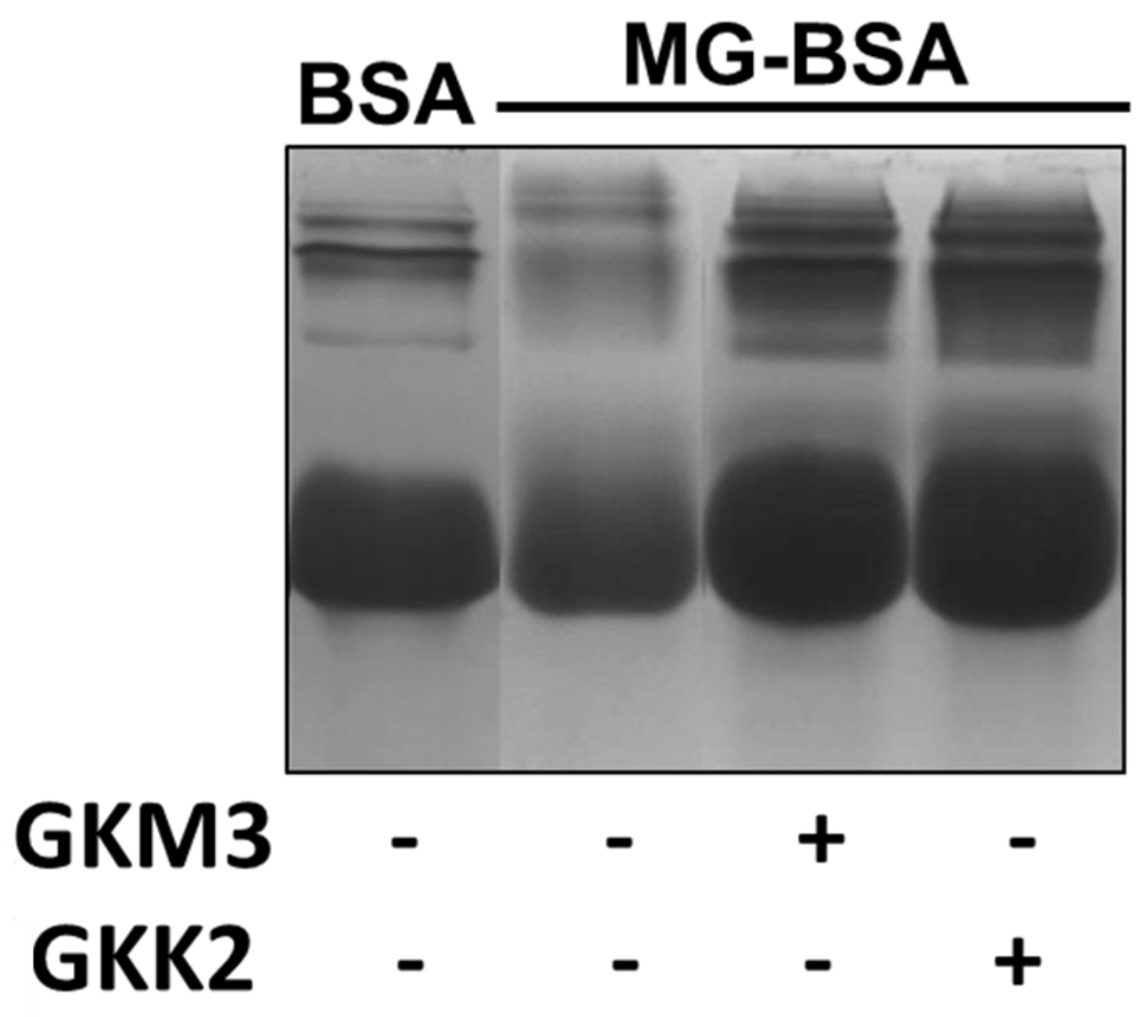 Nutrients 15 00277 g002