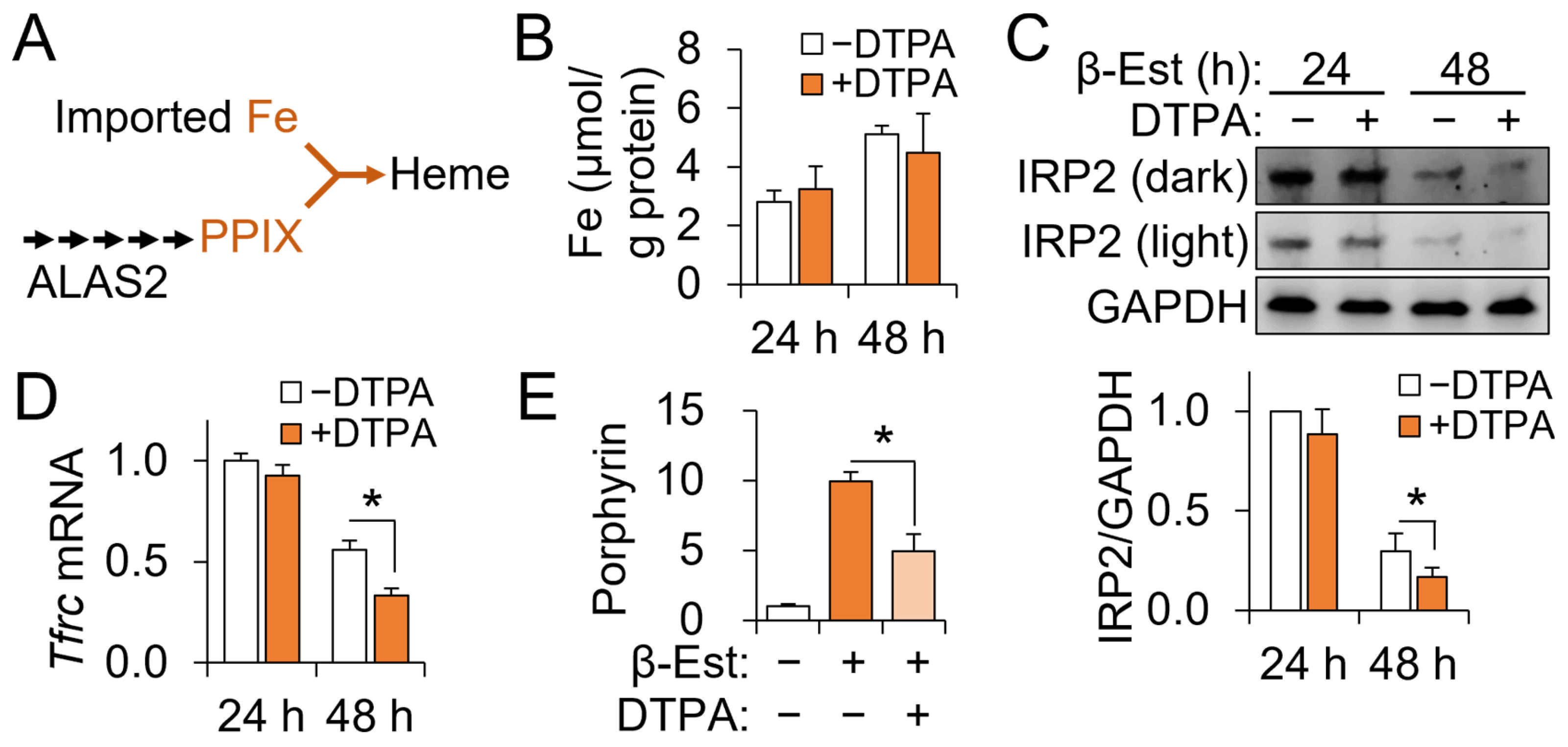 Nutrients 15 00281 g003 Nutrients 15 00281 g003