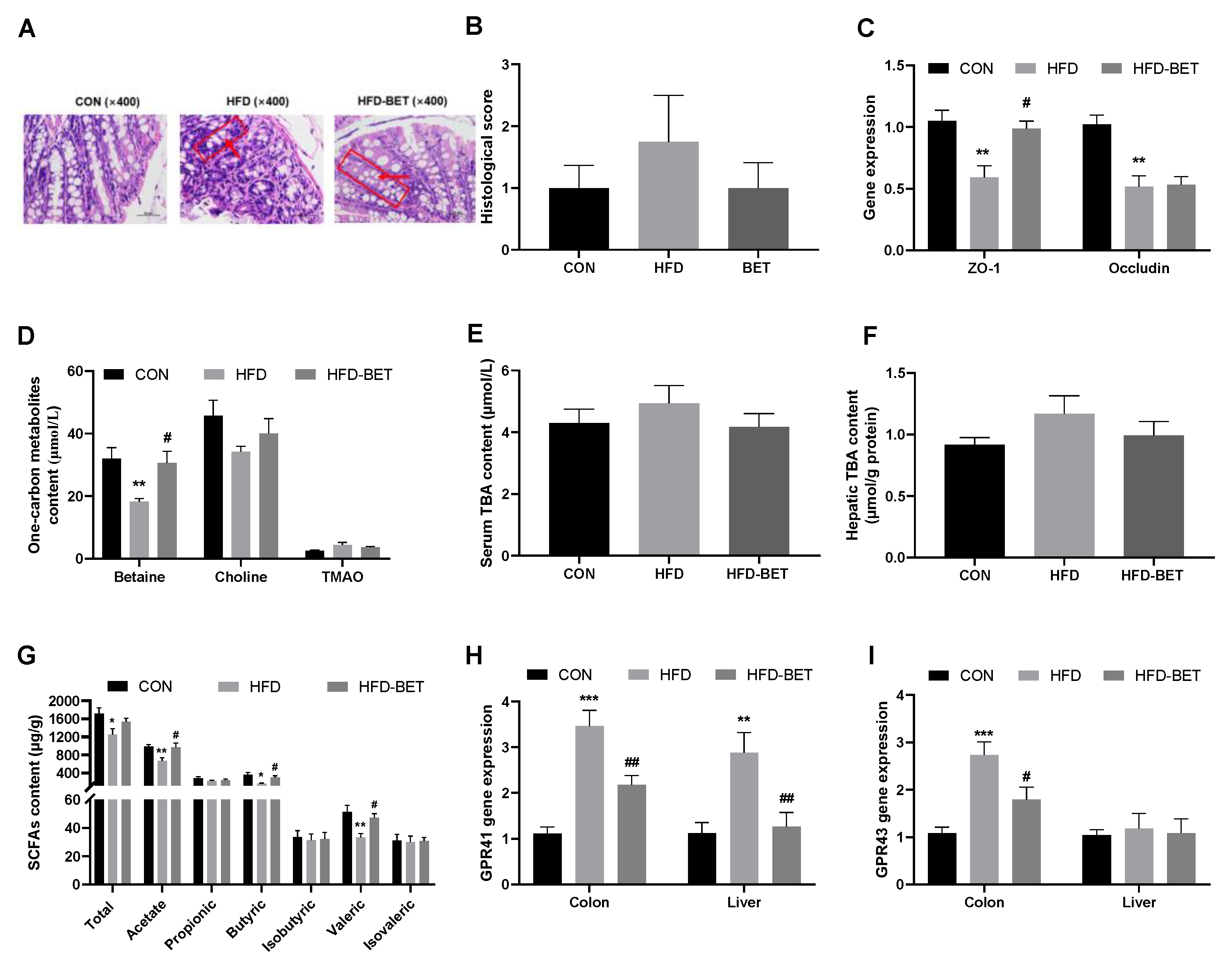 Nutrients 15 00284 g003 Nutrients 15 00284 g003