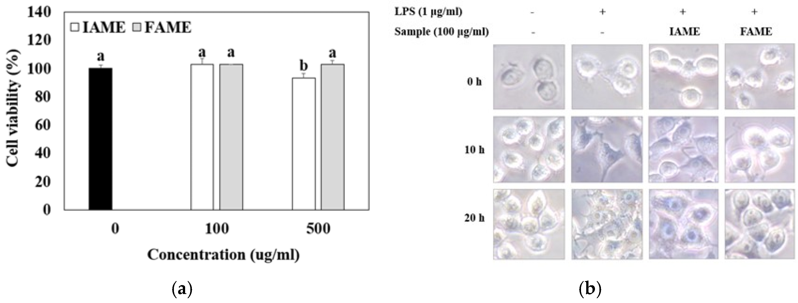 Nutrients 15 00309 g004 Nutrients 15 00309 g004