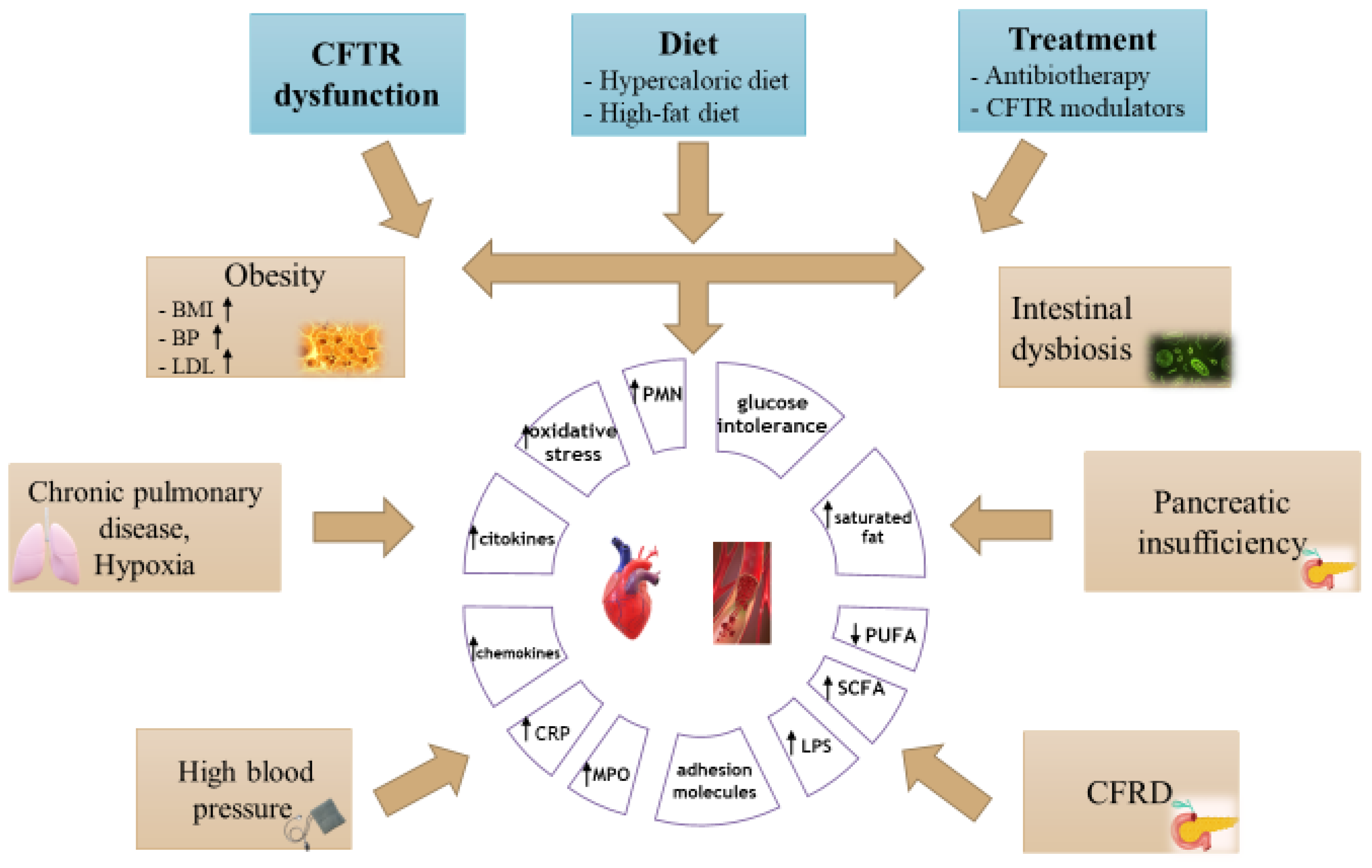 Nutrients 15 00314 g001 Nutrients 15 00314 g001