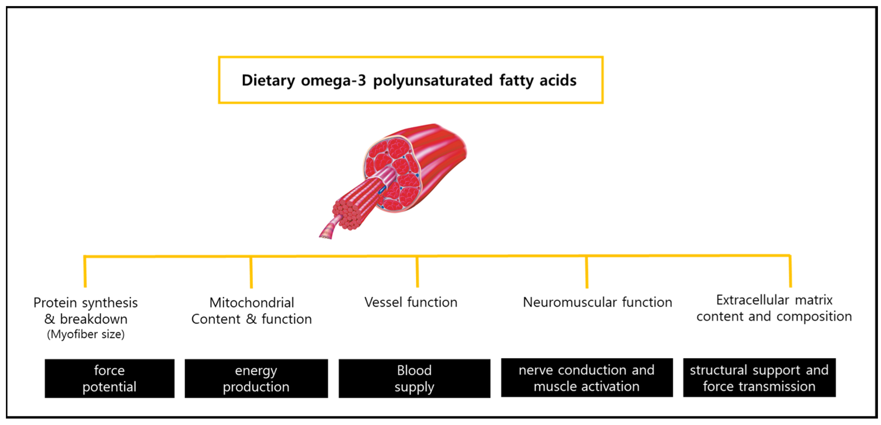 Nutrients 15 00321 g001 Nutrients 15 00321 g001
