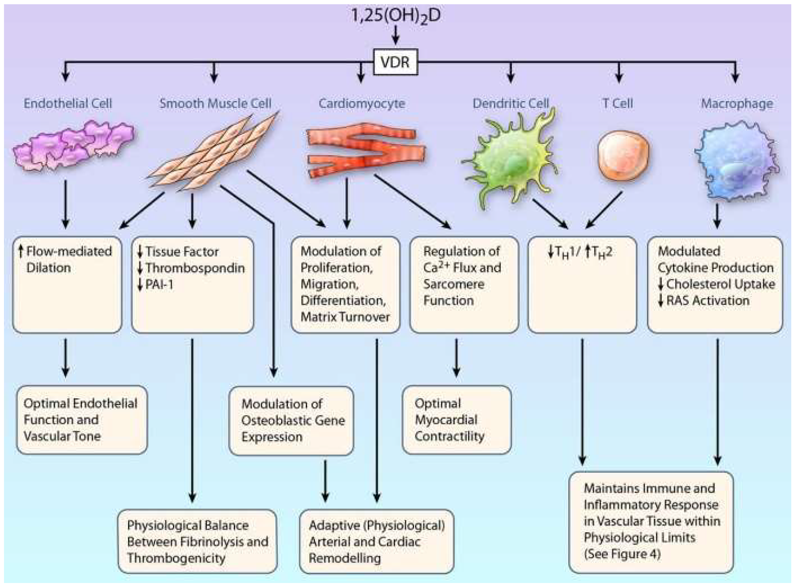 Nutrients 15 00334 g002 Nutrients 15 00334 g002