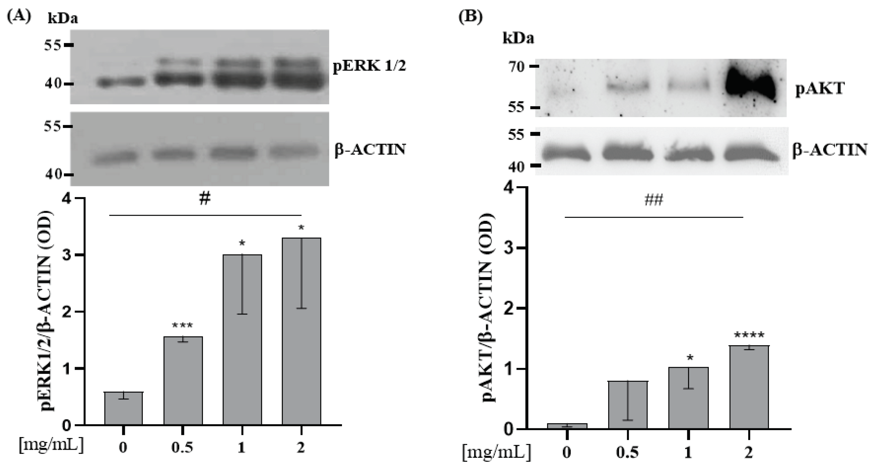 Nutrients 15 00344 g002 Nutrients 15 00344 g002