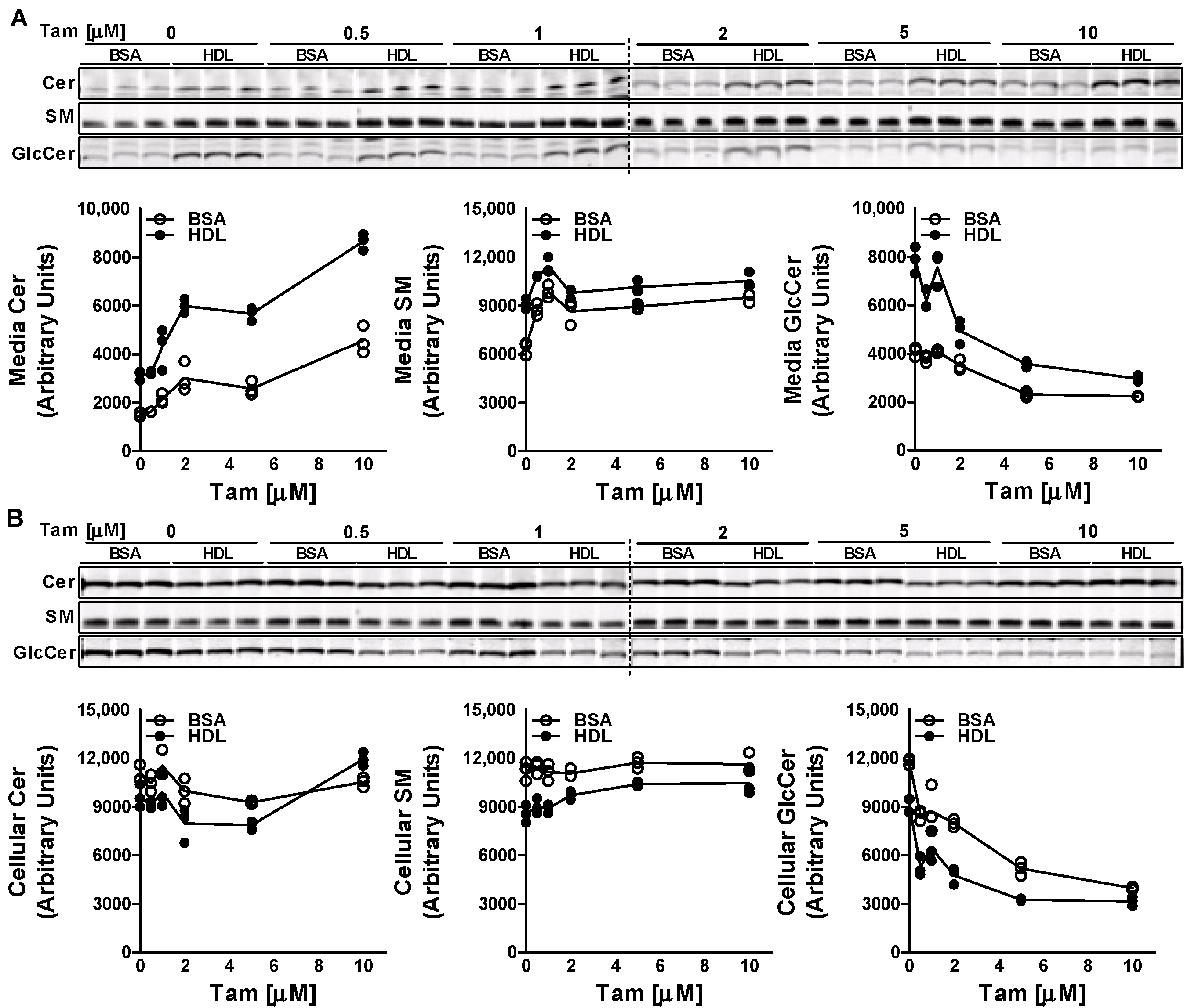 Nutrients 15 00346 g002 Nutrients 15 00346 g002
