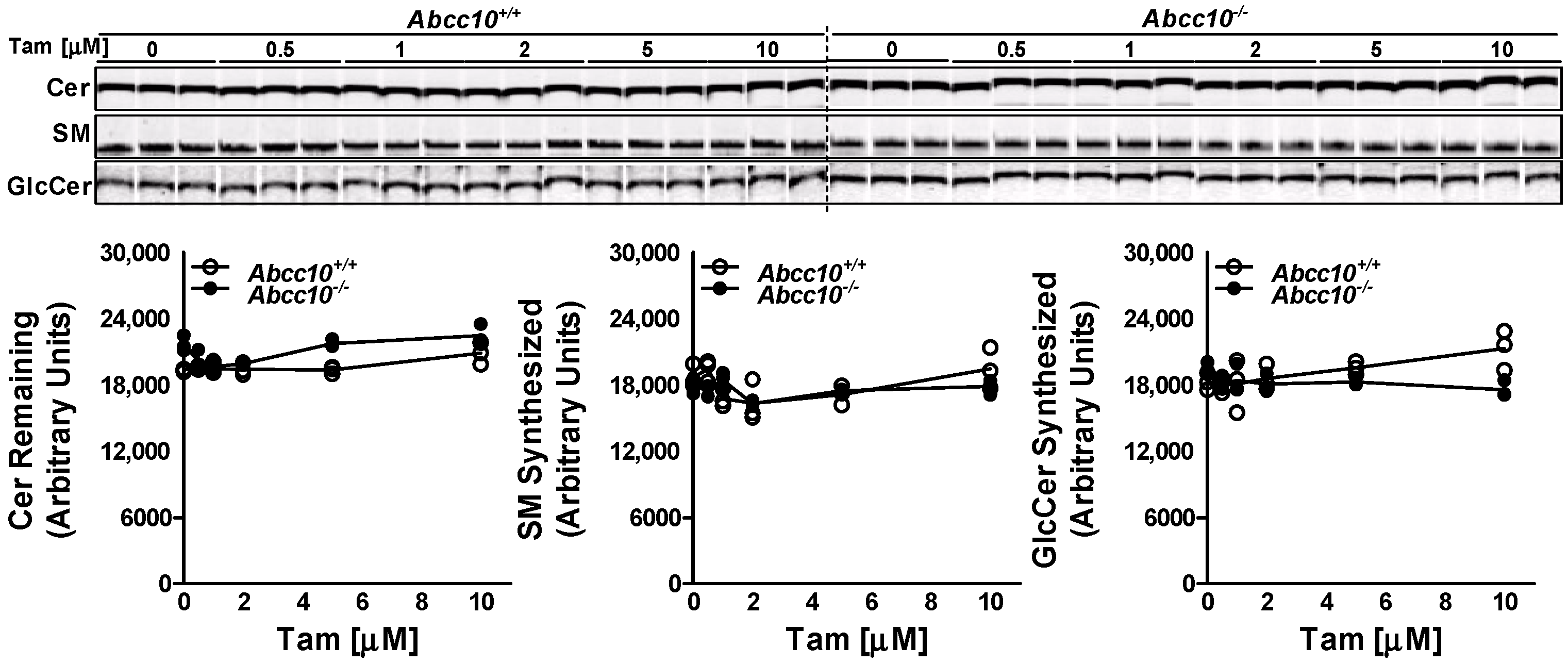 Nutrients 15 00346 g003 Nutrients 15 00346 g003