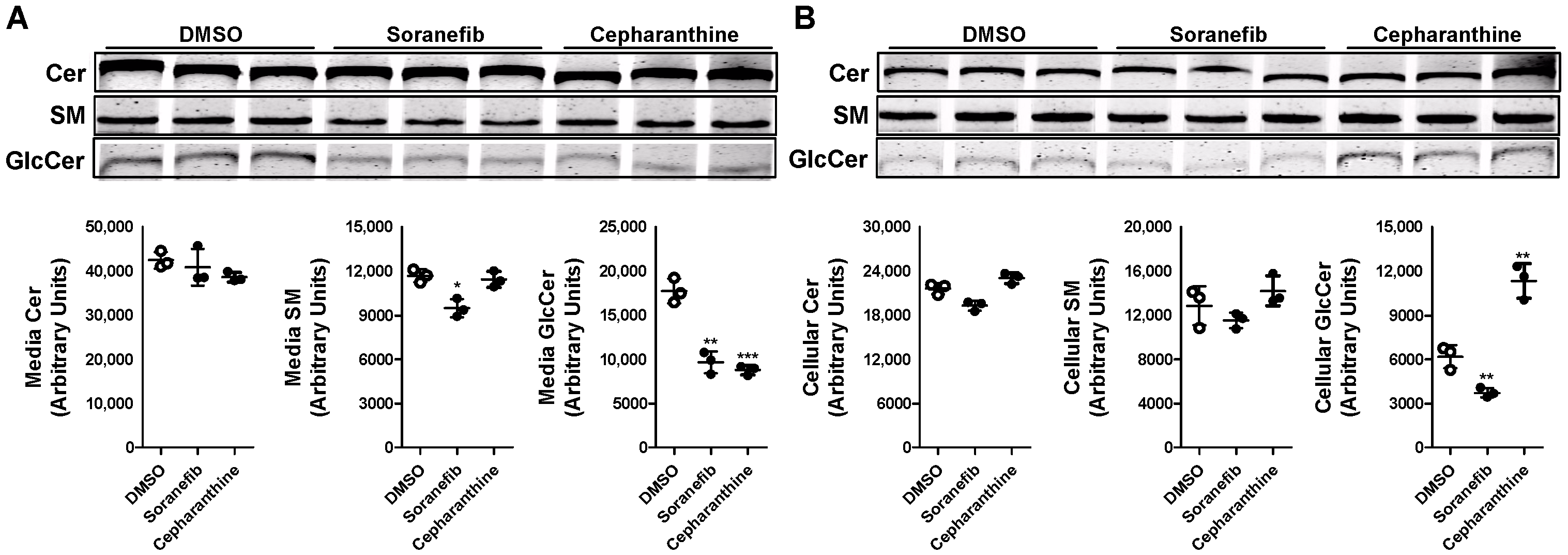 Nutrients 15 00346 g004 Nutrients 15 00346 g004