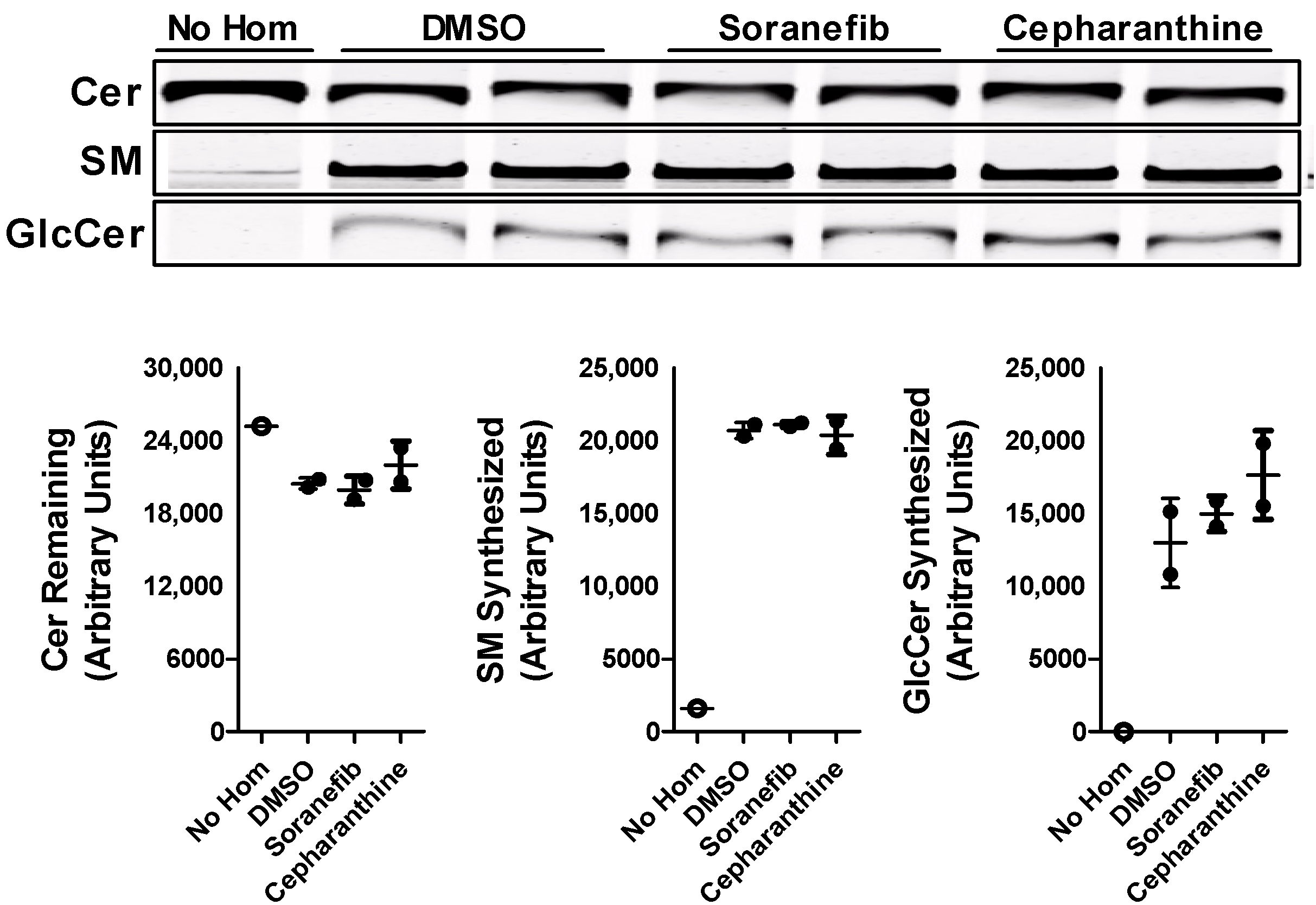 Nutrients 15 00346 g006 Nutrients 15 00346 g006