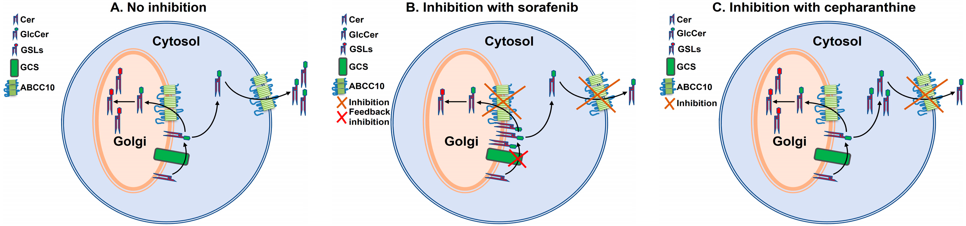 Nutrients 15 00346 g008 Nutrients 15 00346 g008