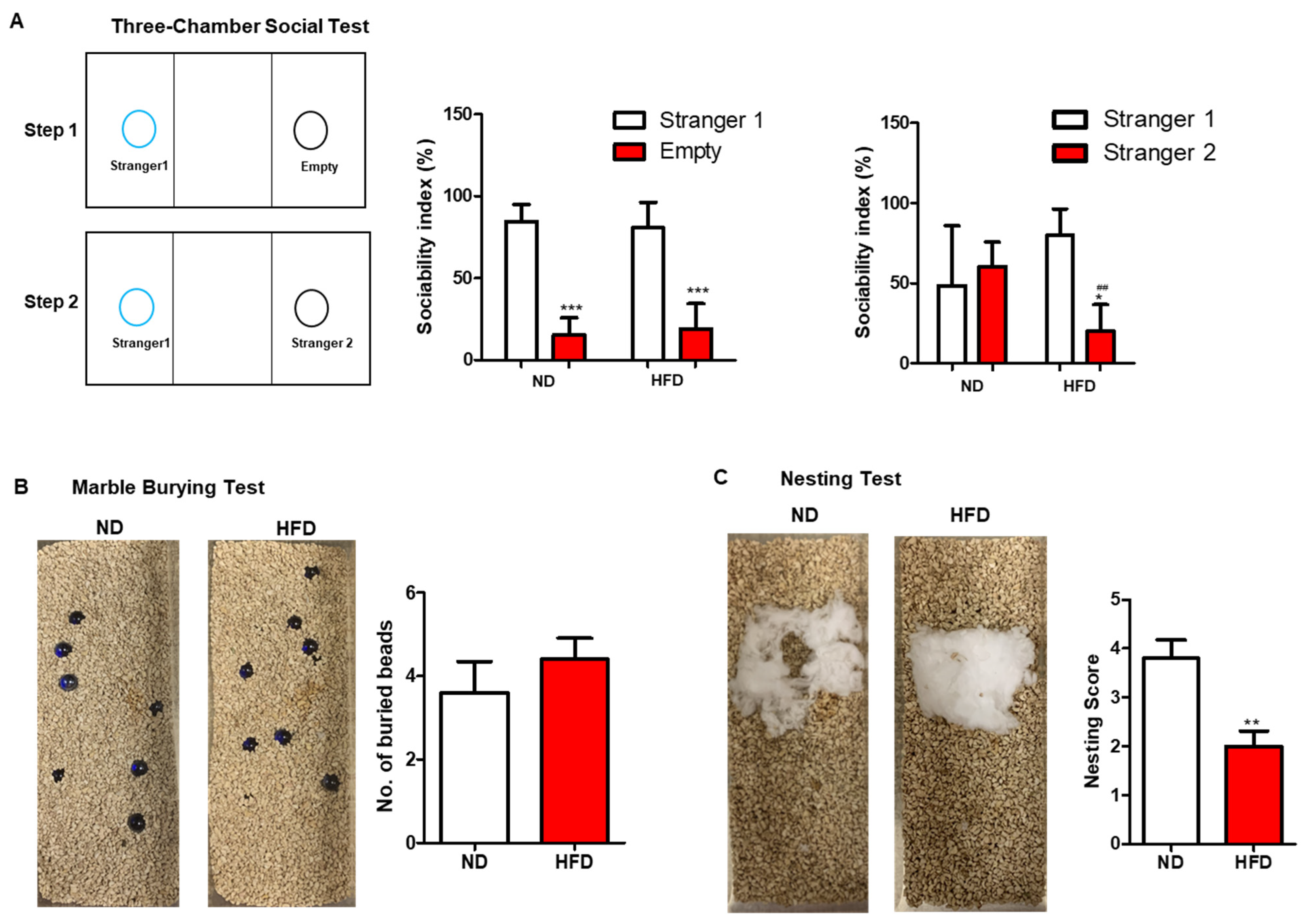 Nutrients 15 00392 g003 Nutrients 15 00392 g003