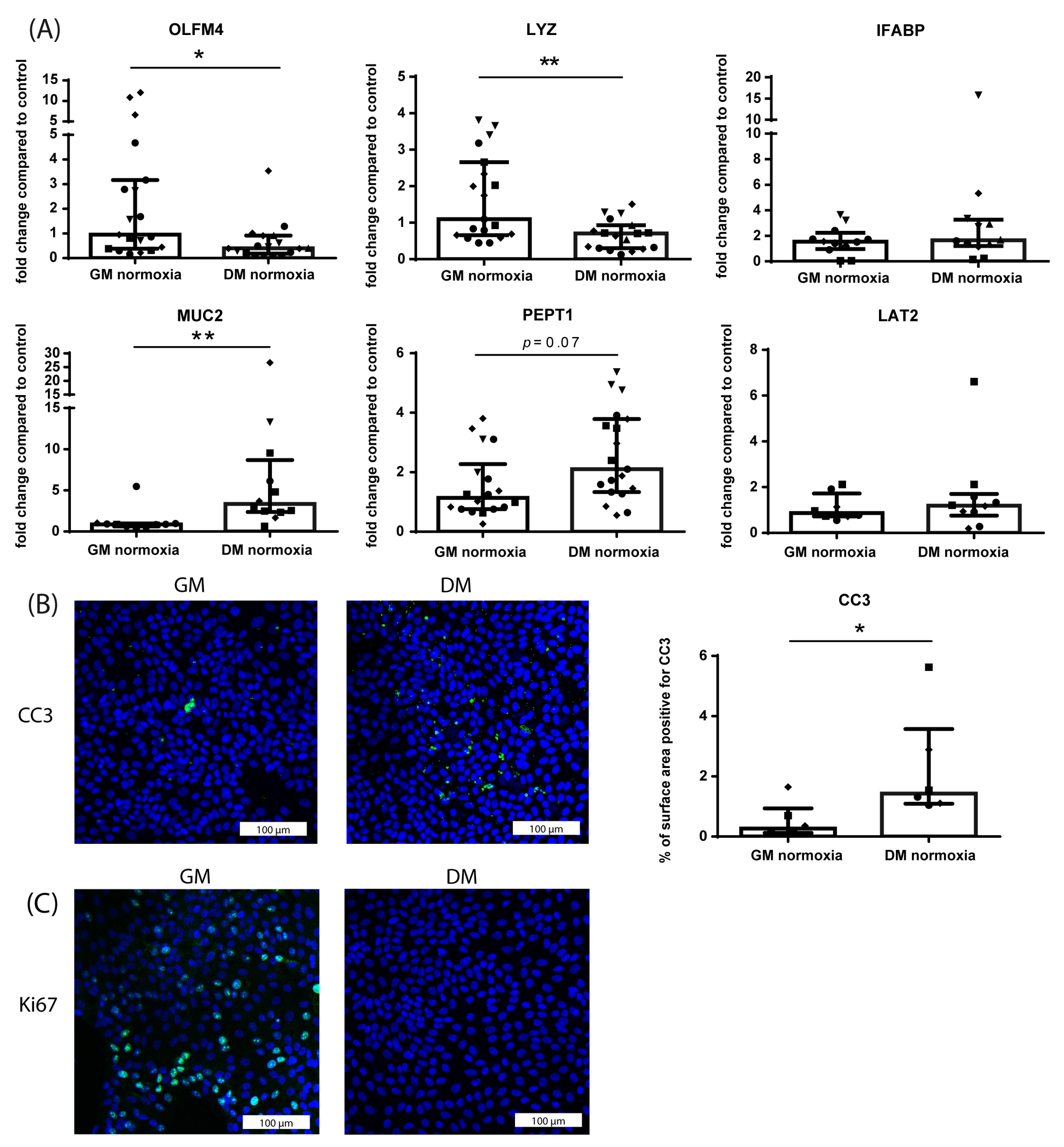 Nutrients 15 00393 g002 Nutrients 15 00393 g002