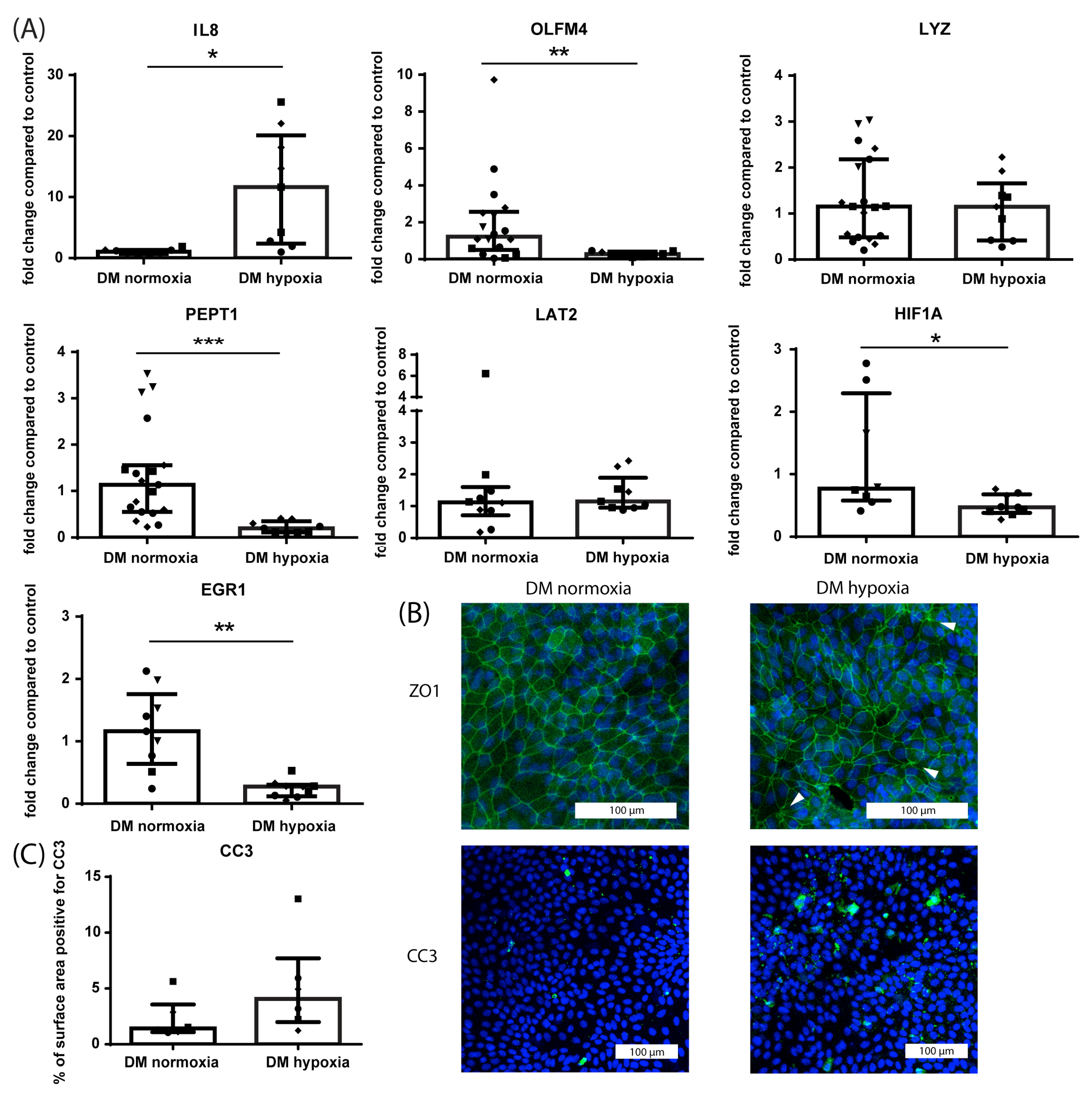 Nutrients 15 00393 g004 Nutrients 15 00393 g004