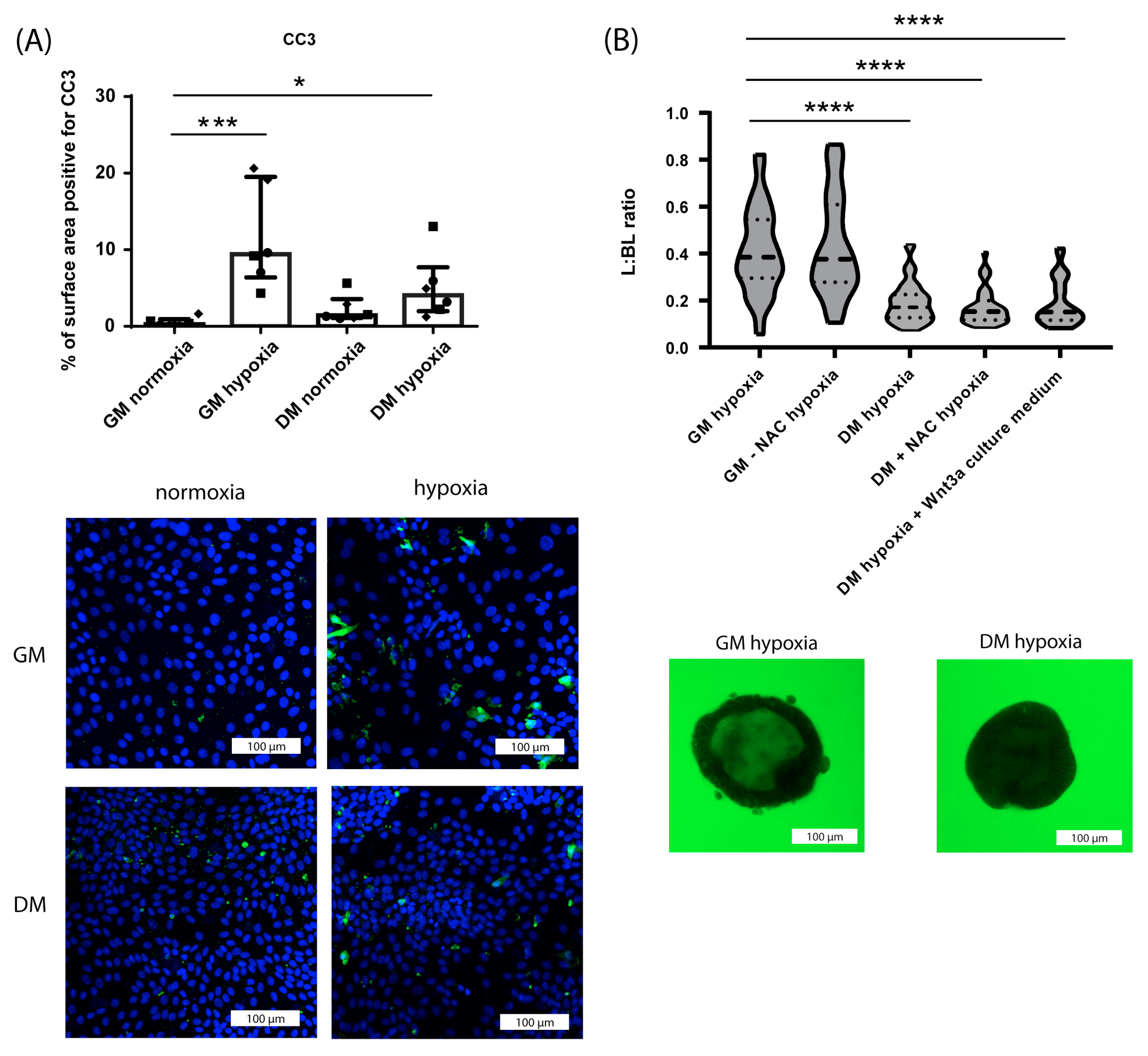 Nutrients 15 00393 g005 Nutrients 15 00393 g005
