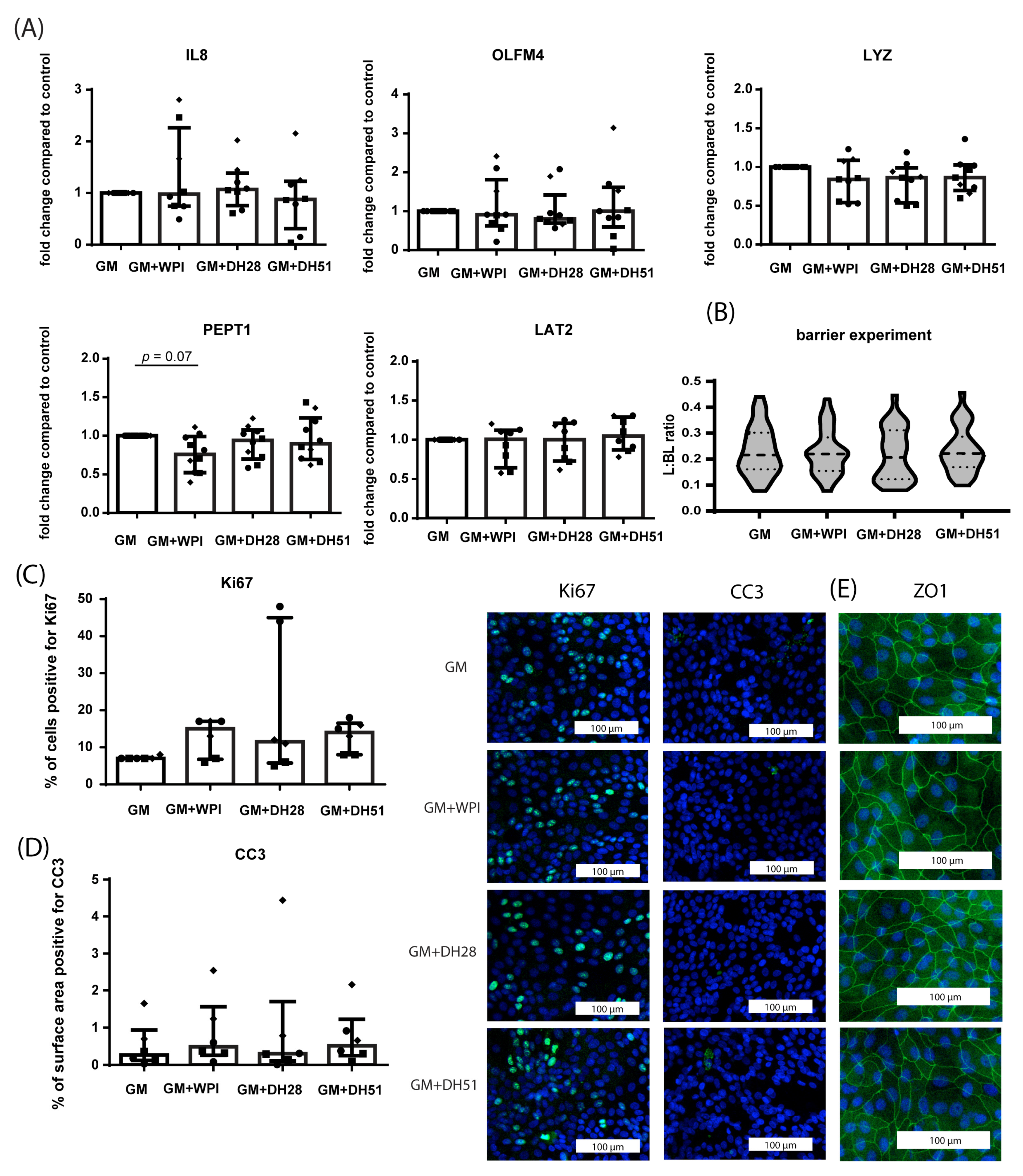 Nutrients 15 00393 g006 Nutrients 15 00393 g006