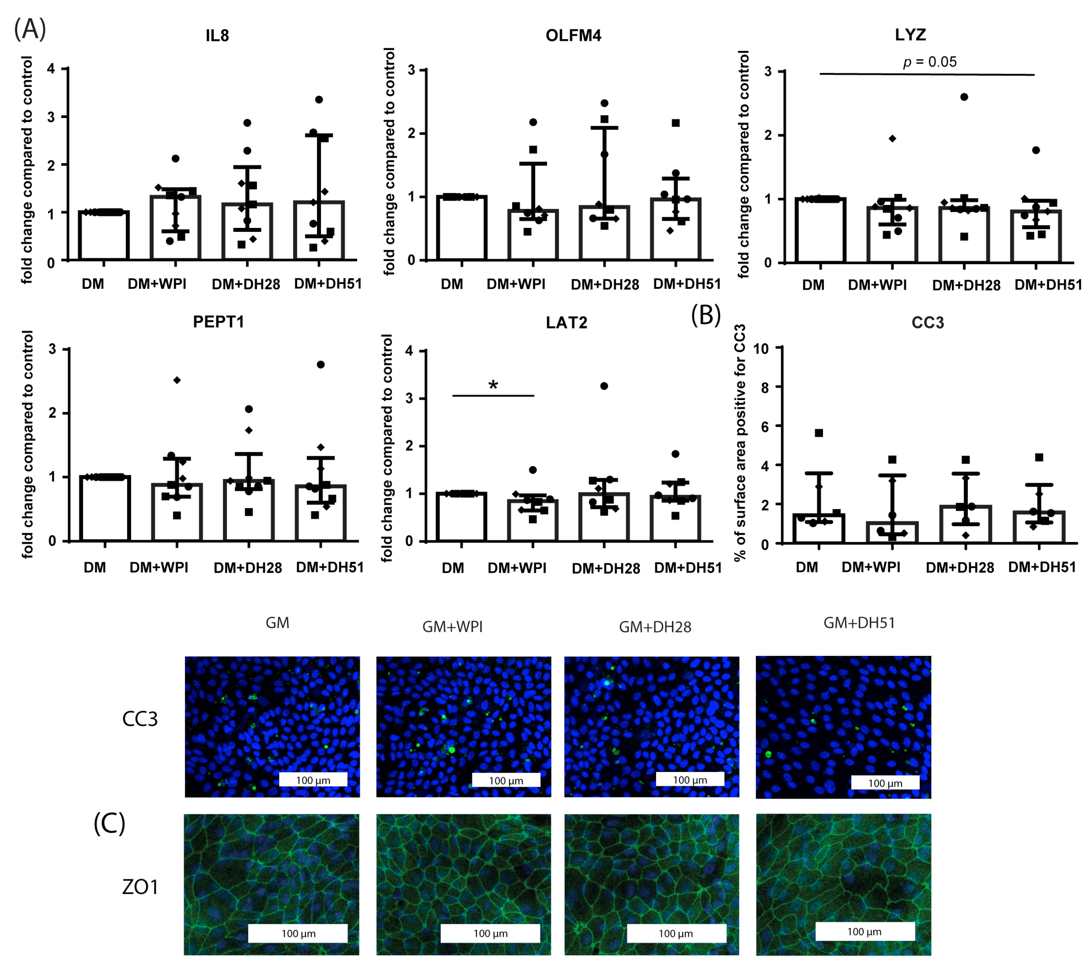 Nutrients 15 00393 g007 Nutrients 15 00393 g007