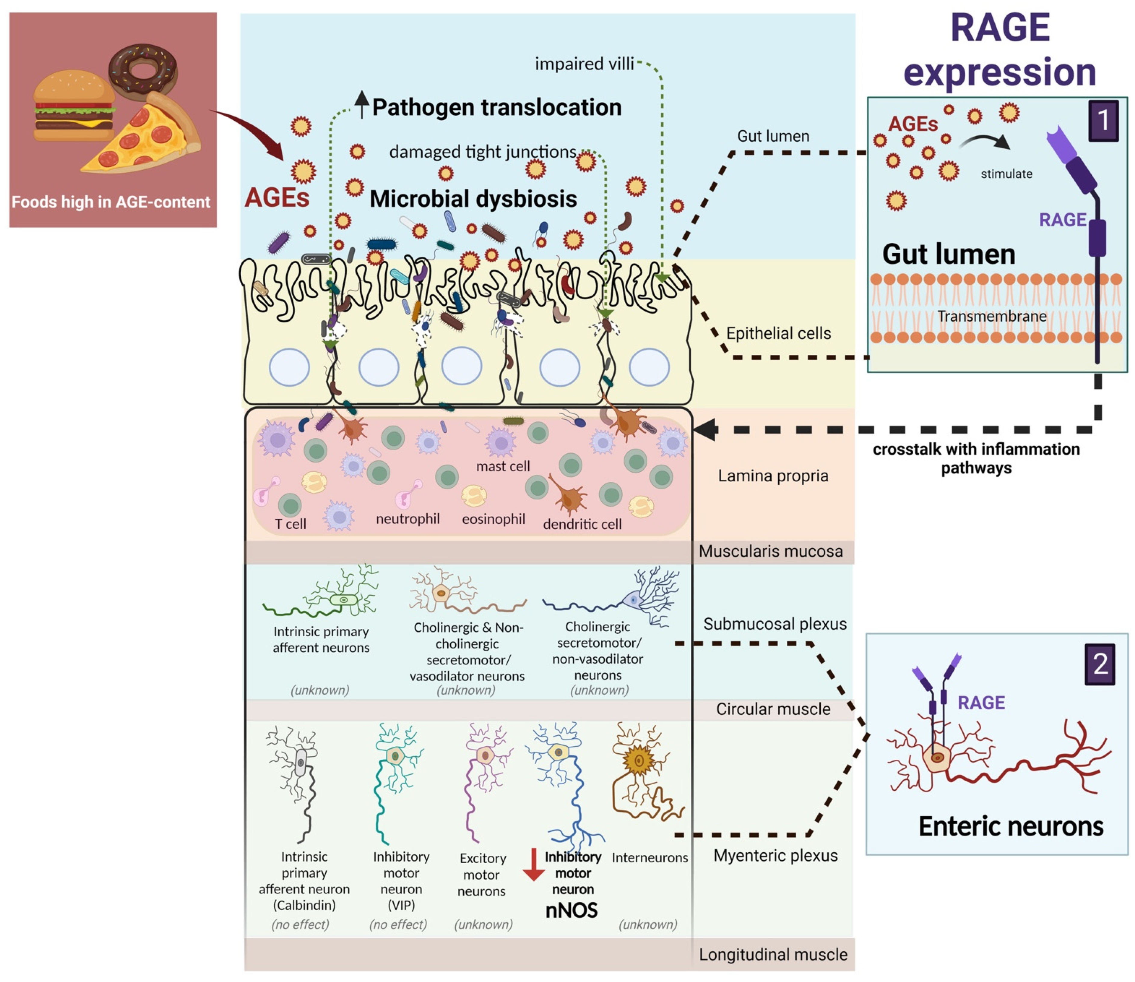 Nutrients 15 00405 g002 Nutrients 15 00405 g002