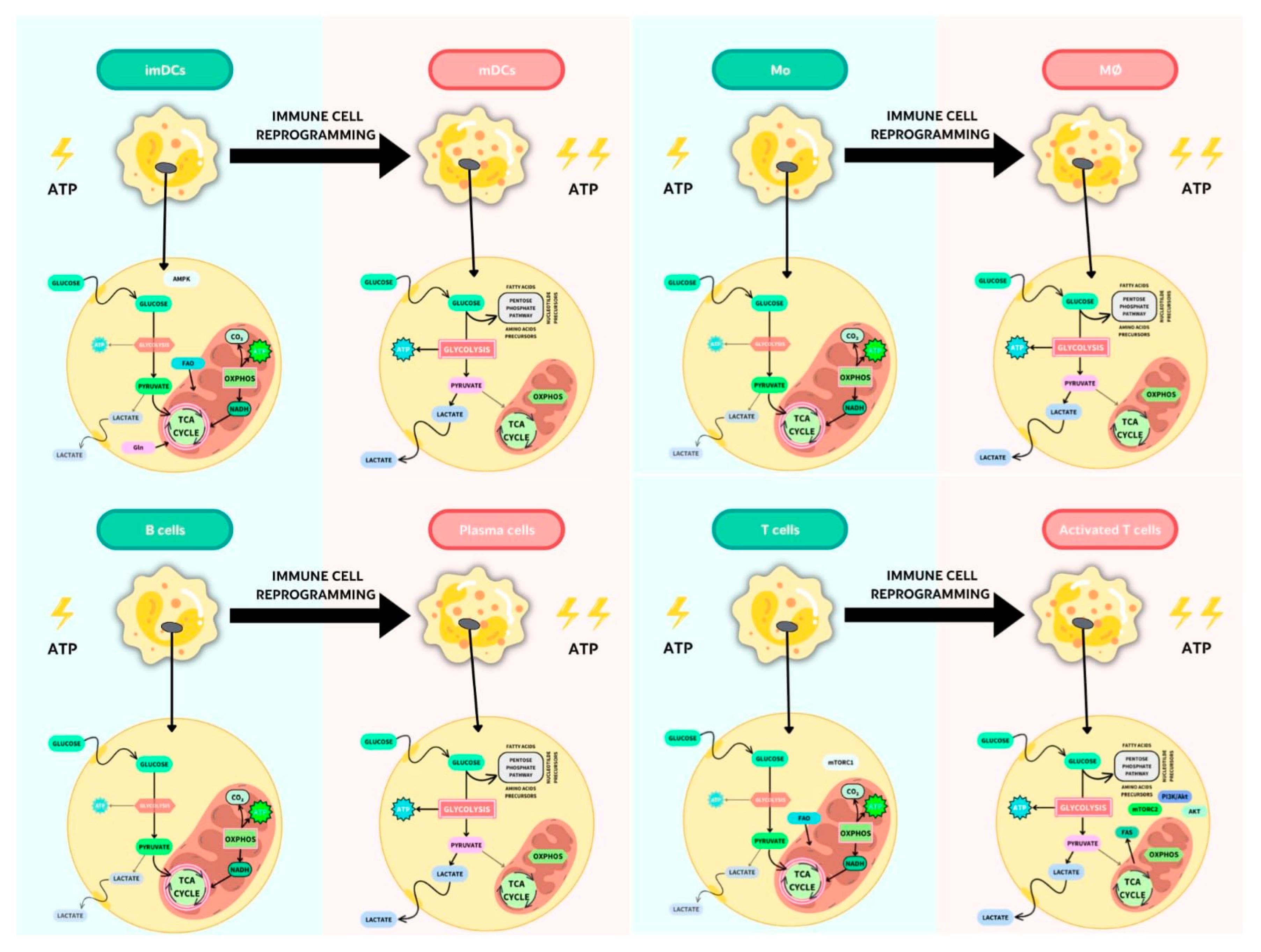 Nutrients 15 00411 g002 Nutrients 15 00411 g002