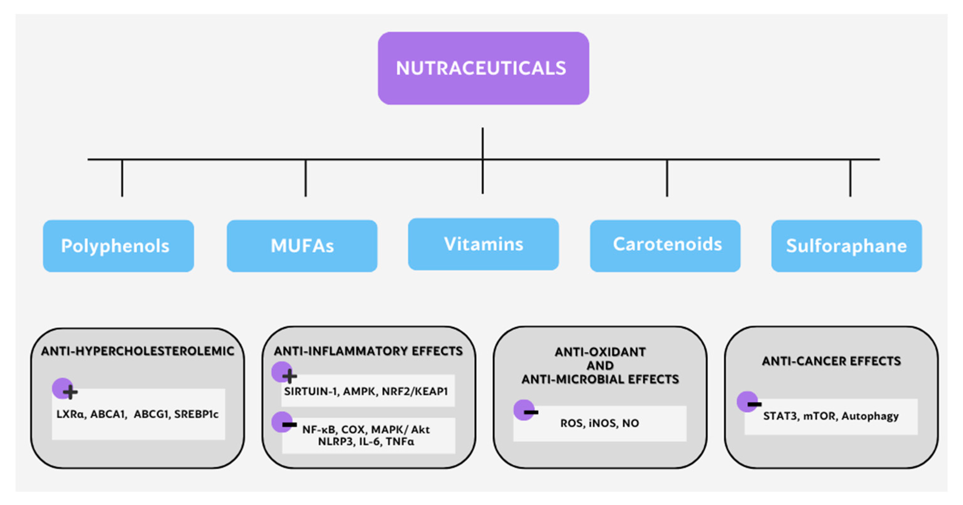 Nutrients 15 00411 g003 Nutrients 15 00411 g003