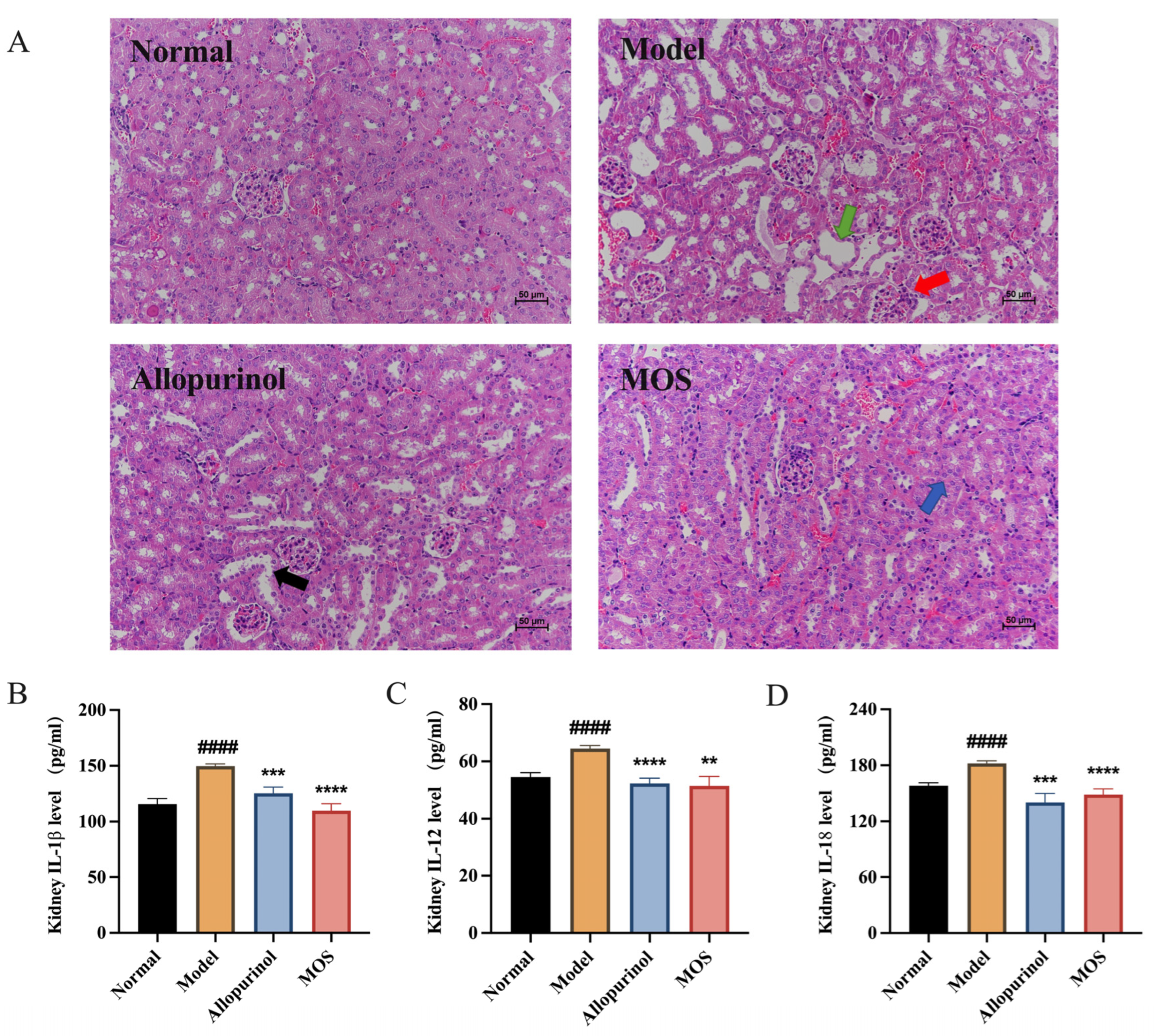 Nutrients 15 00417 g004