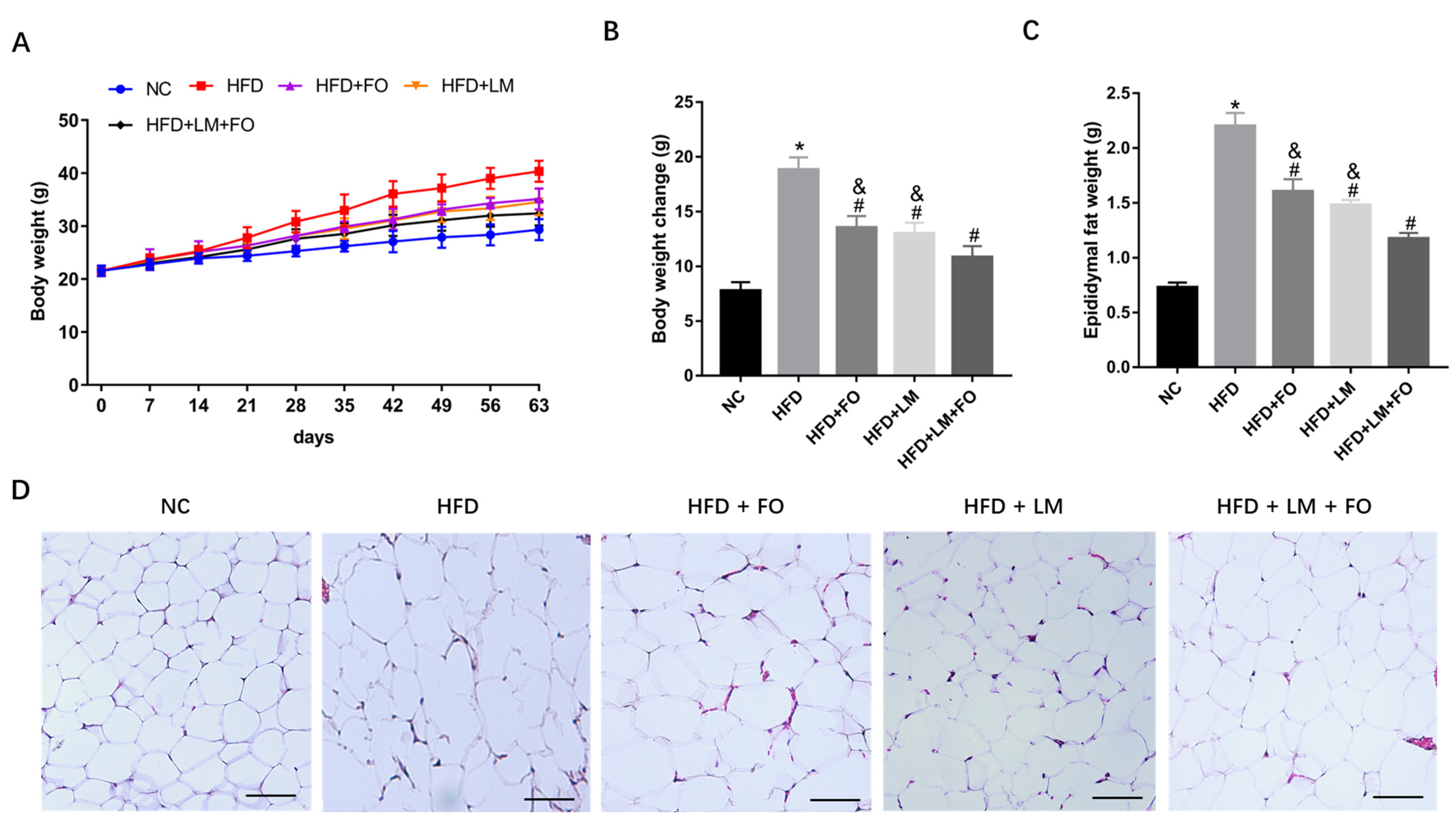 Nutrients 15 00427 g001 Nutrients 15 00427 g001