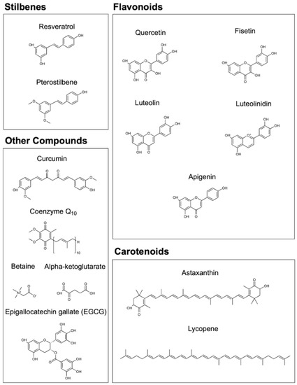 Potential Synergistic Supplementation of NAD+ Promoting Compounds