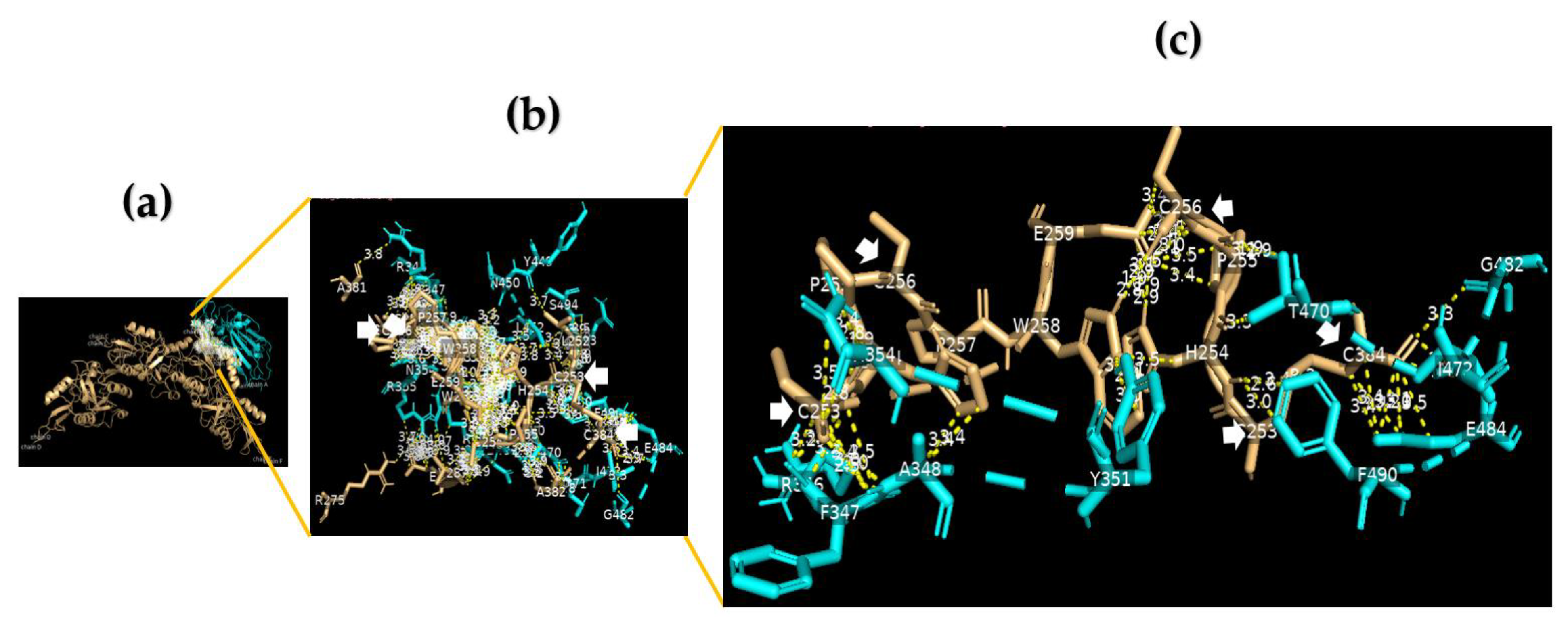 Nutrients 15 00453 g001