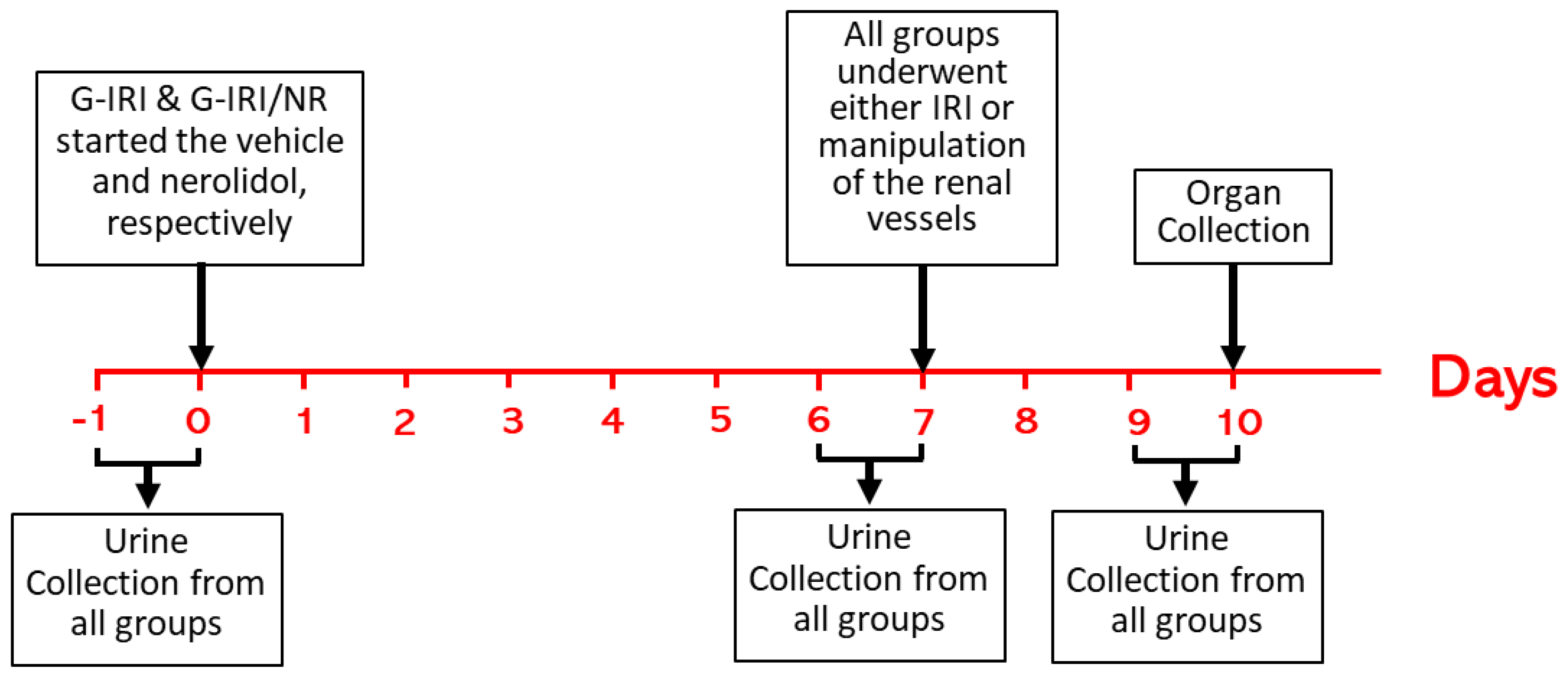 Nutrients 15 00455 g001