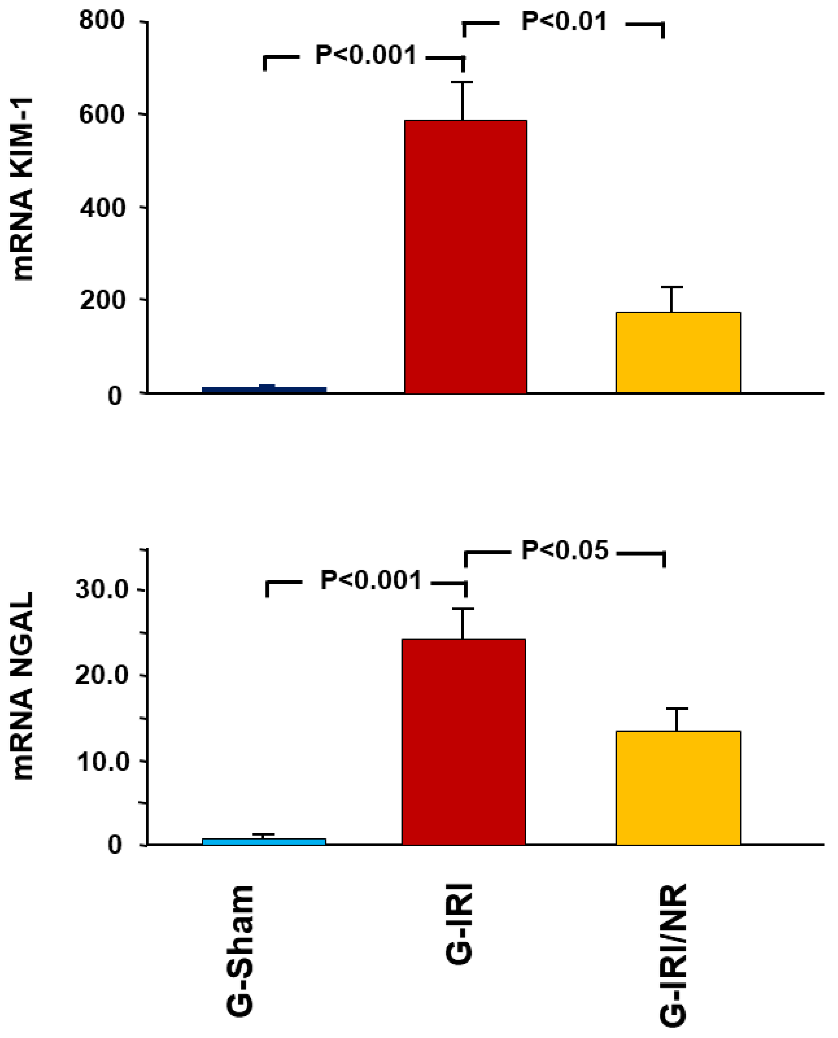 Nutrients 15 00455 g002