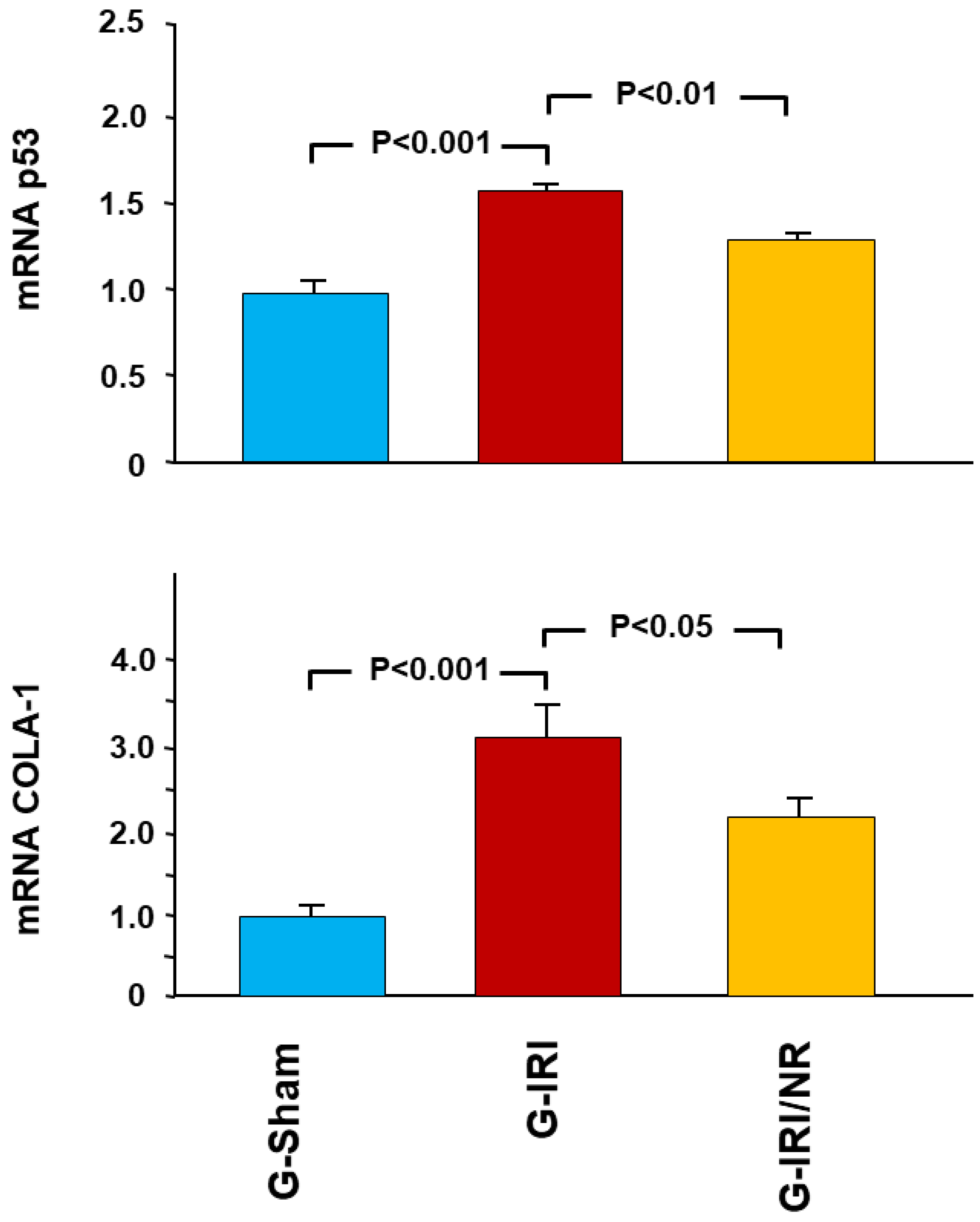 Nutrients 15 00455 g005