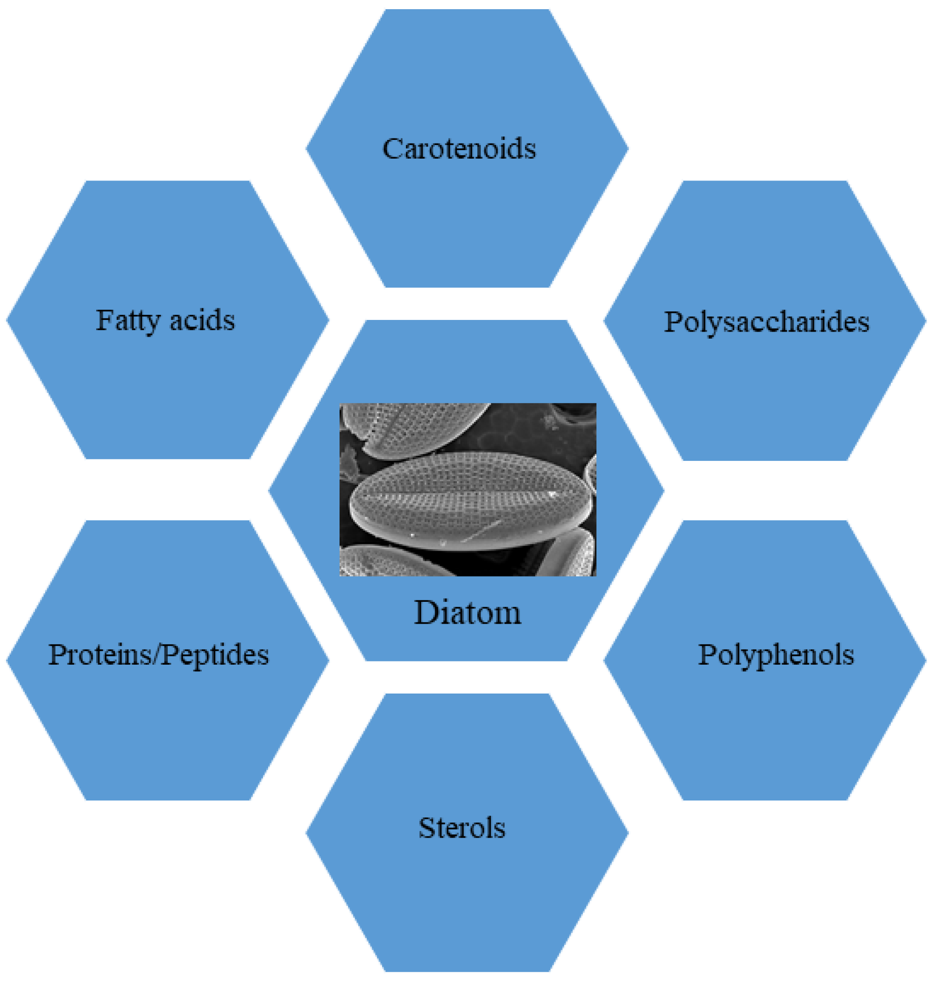 Nutrients 15 00464 g001 Nutrients 15 00464 g001