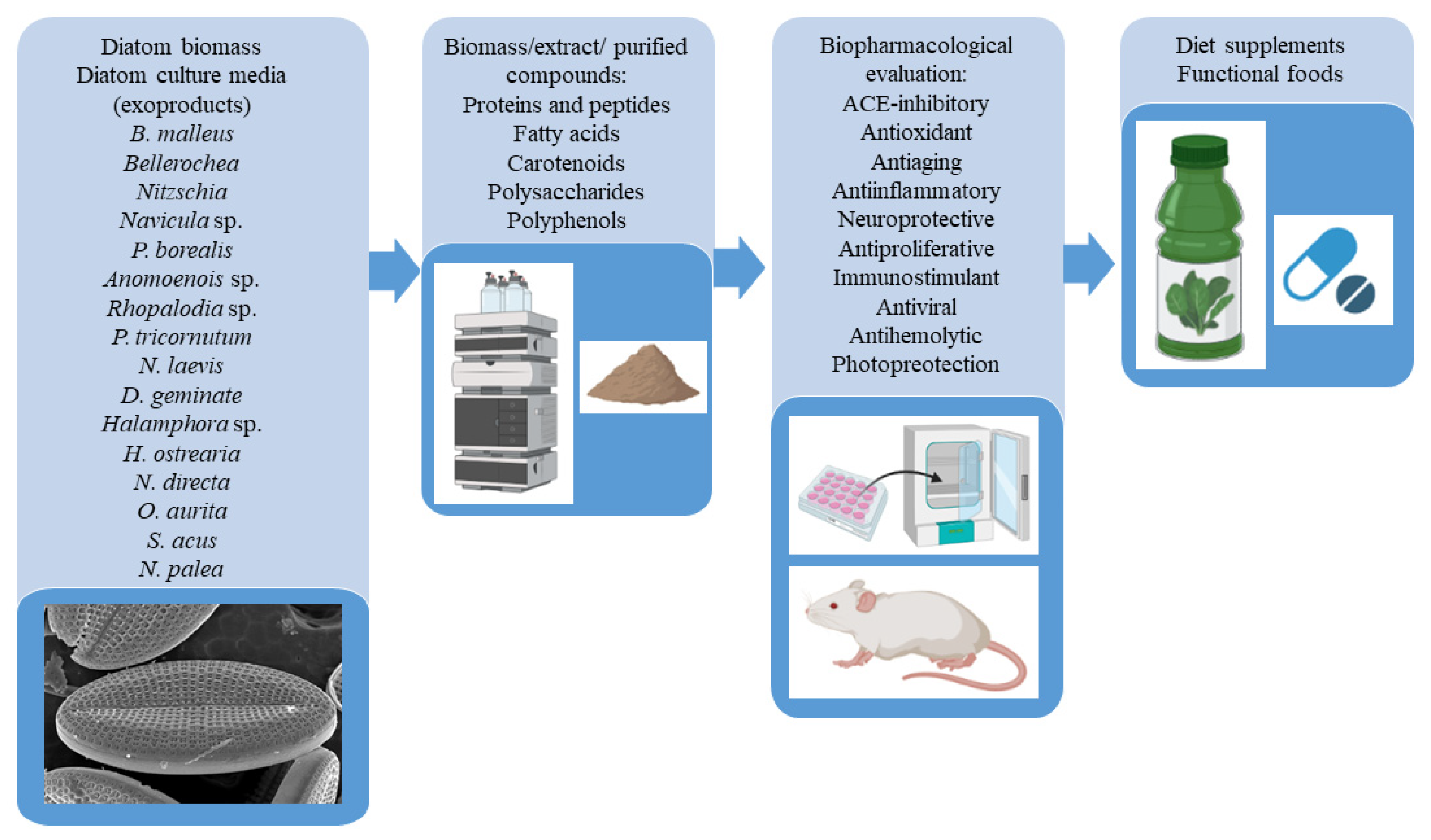 Nutrients 15 00464 g003 Nutrients 15 00464 g003