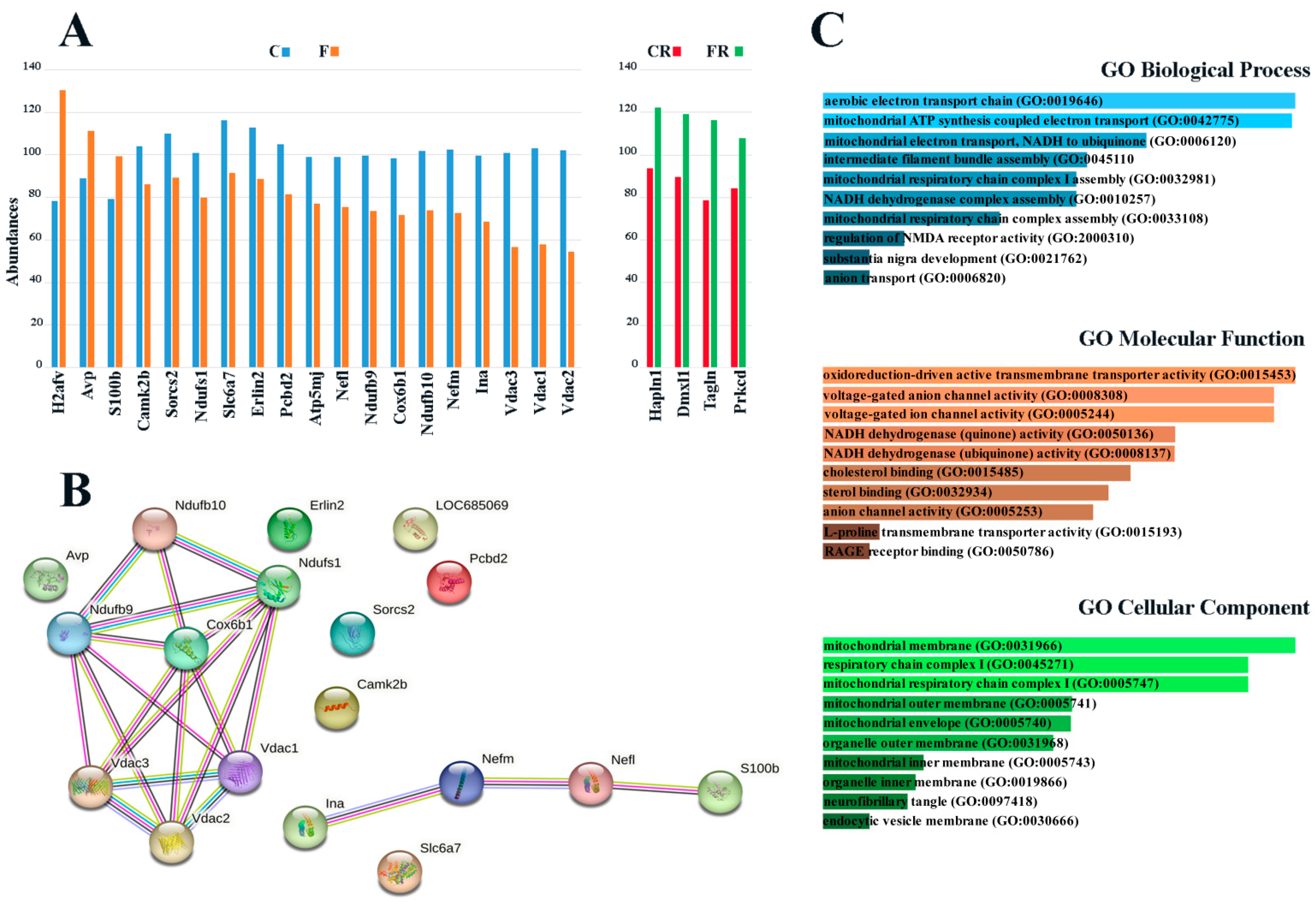 Nutrients 15 00475 g002 Nutrients 15 00475 g002