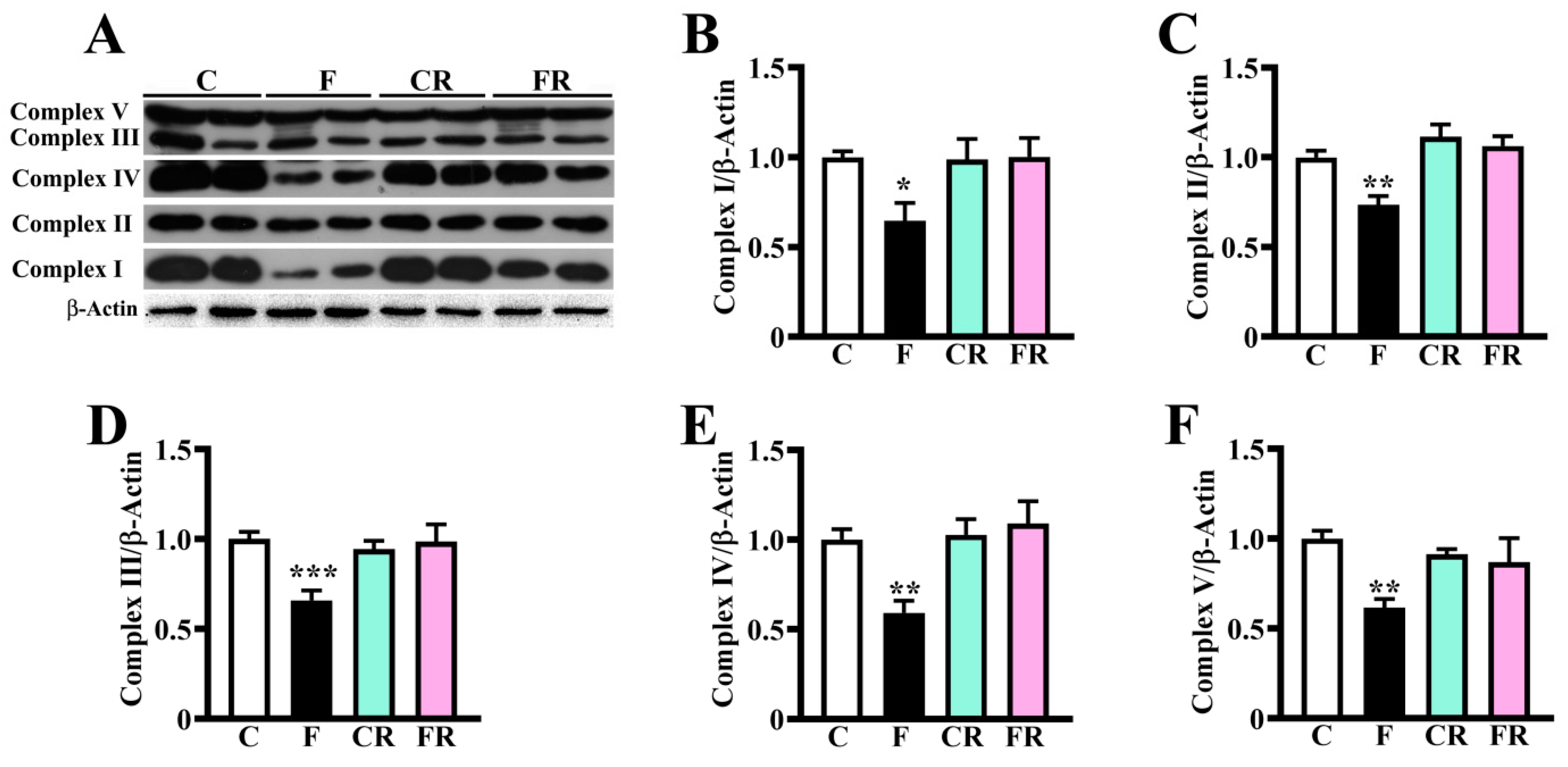 Nutrients 15 00475 g003 Nutrients 15 00475 g003