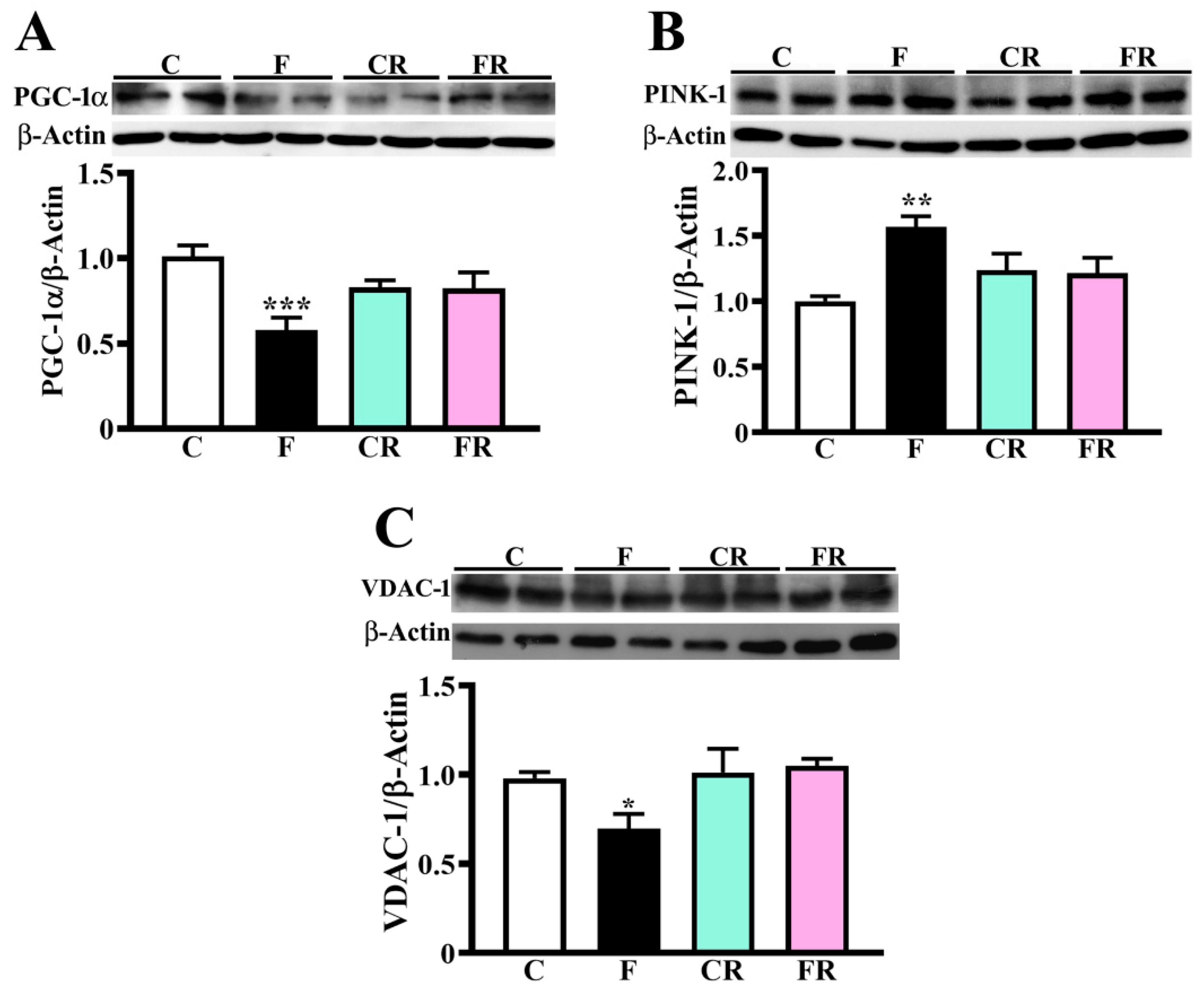 Nutrients 15 00475 g004 Nutrients 15 00475 g004