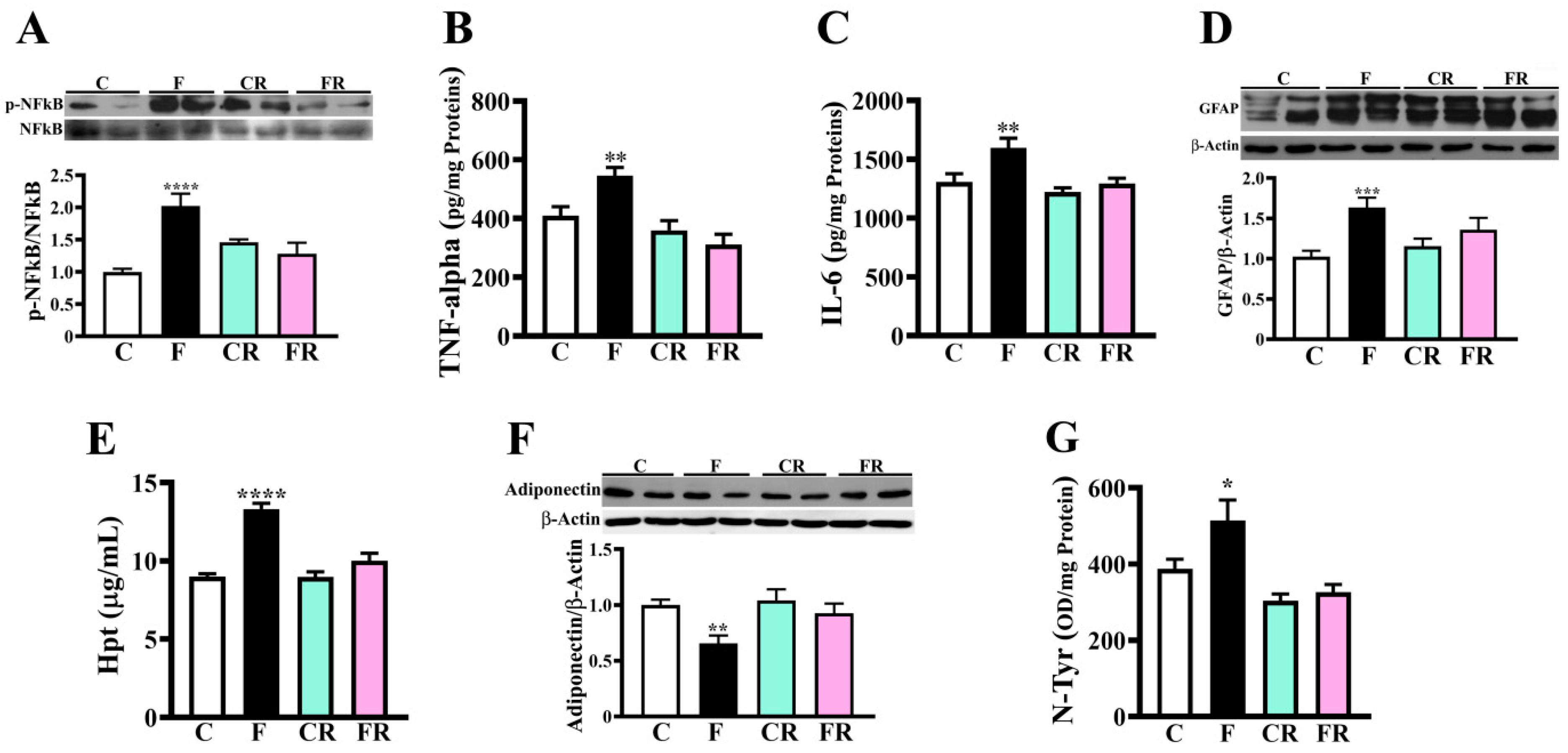 Nutrients 15 00475 g005 Nutrients 15 00475 g005