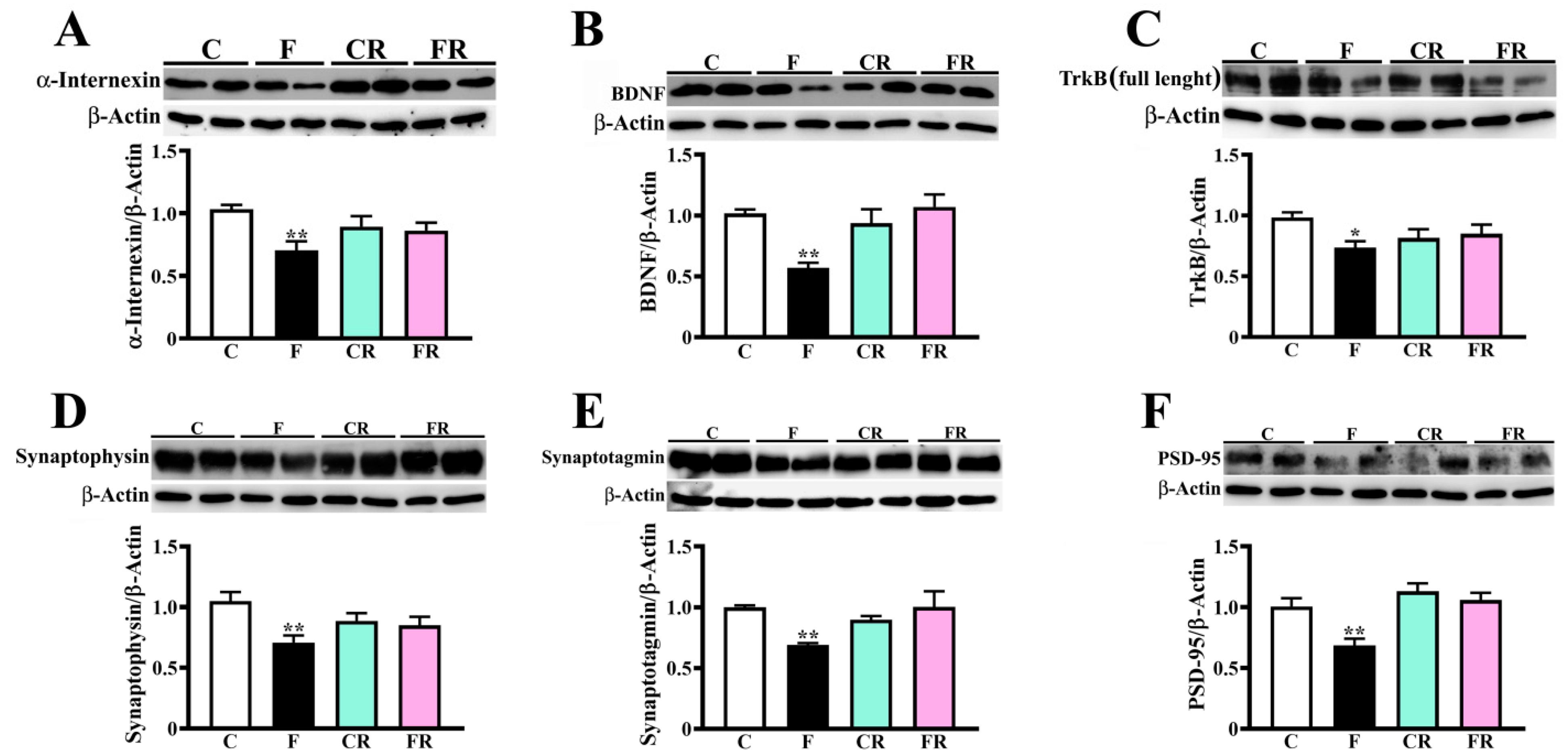 Nutrients 15 00475 g006 Nutrients 15 00475 g006