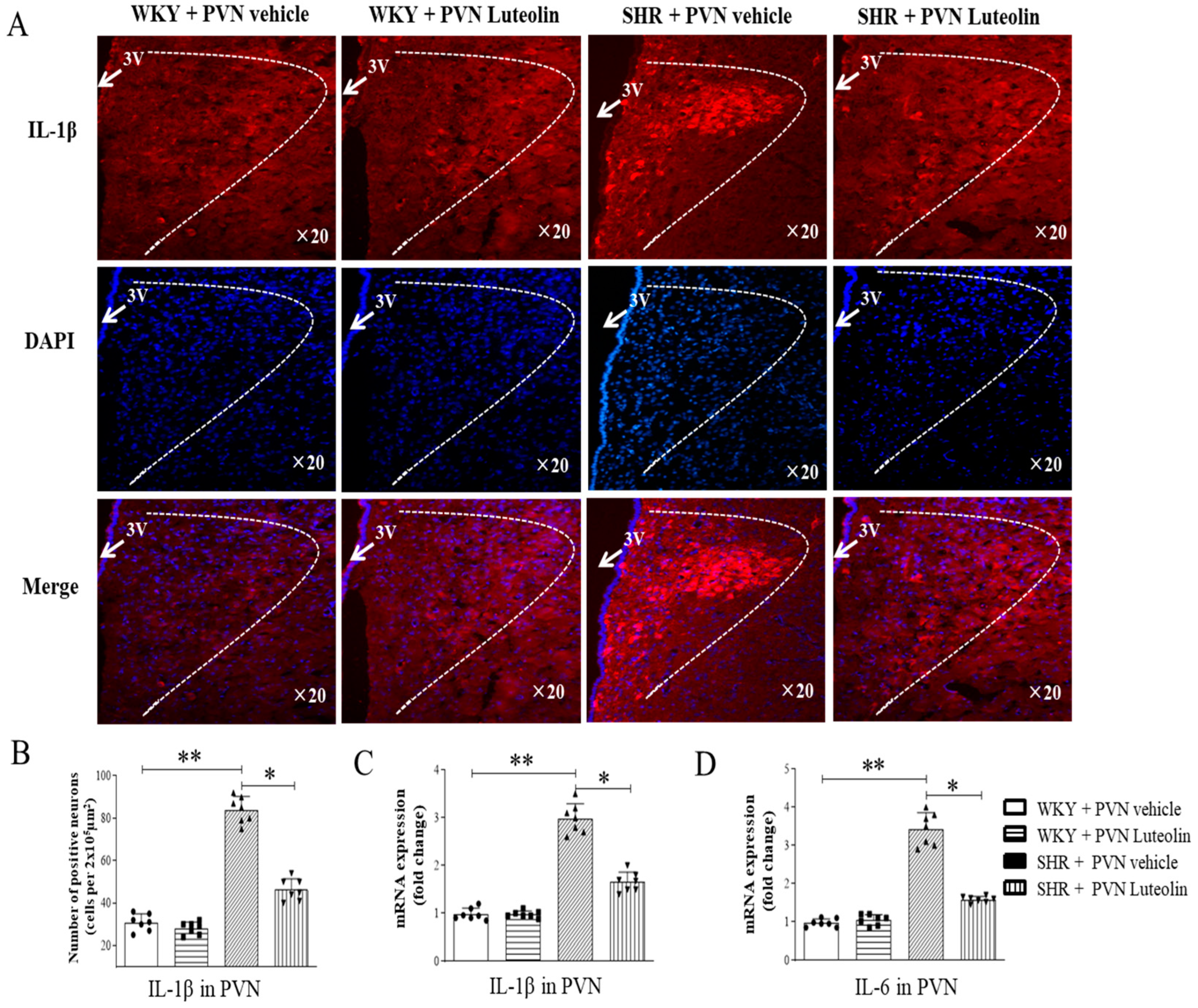 Nutrients 15 00502 g004 Nutrients 15 00502 g004